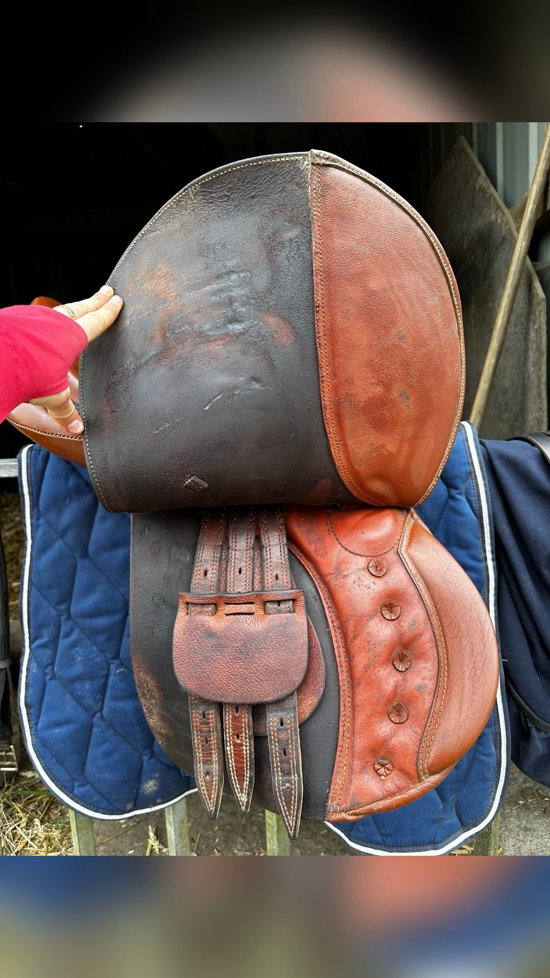 Selle tout équipée (sangle/étrier/étrivière/couvre selle), média 5