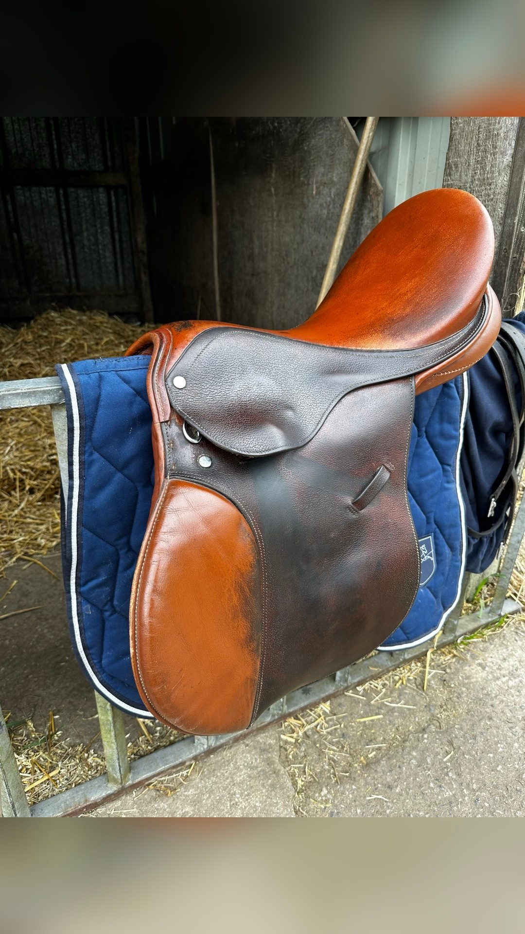 Selle tout équipée (sangle/étrier/étrivière/couvre selle), média 6