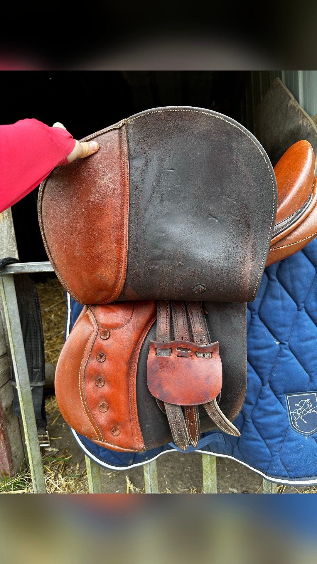 Selle tout équipée (sangle/étrier/étrivière/couvre selle), média 7