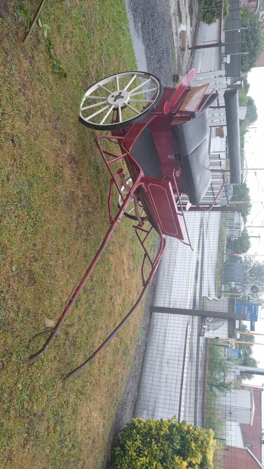 Charette à cheval deux roues, siège réglable + essieux réglable, freins, coffre, média 2