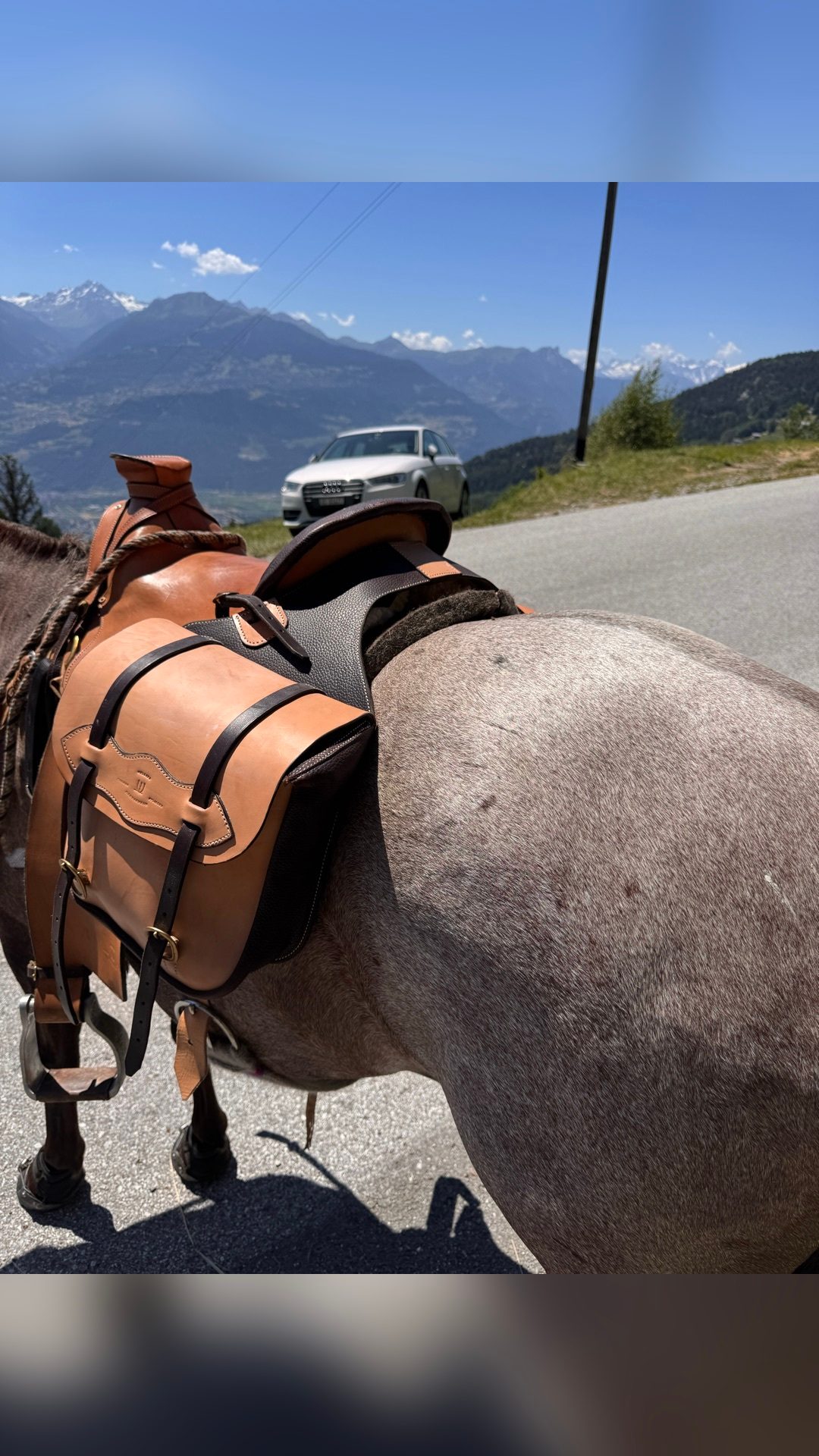 Selle de randonnée typée western avec sacoches, média 2