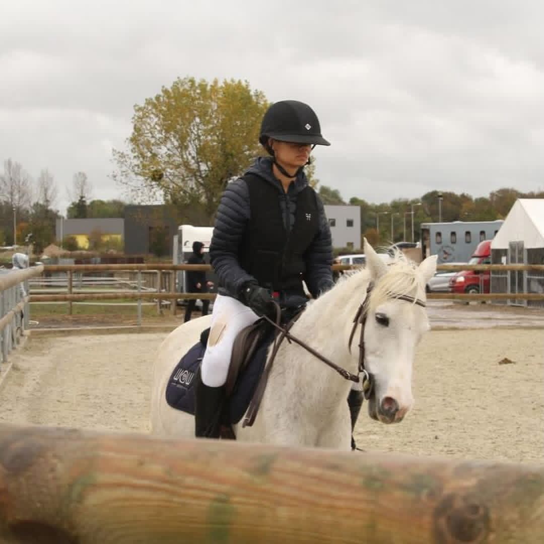 🐴 Airbag Horse Pilot à vendre, média 4