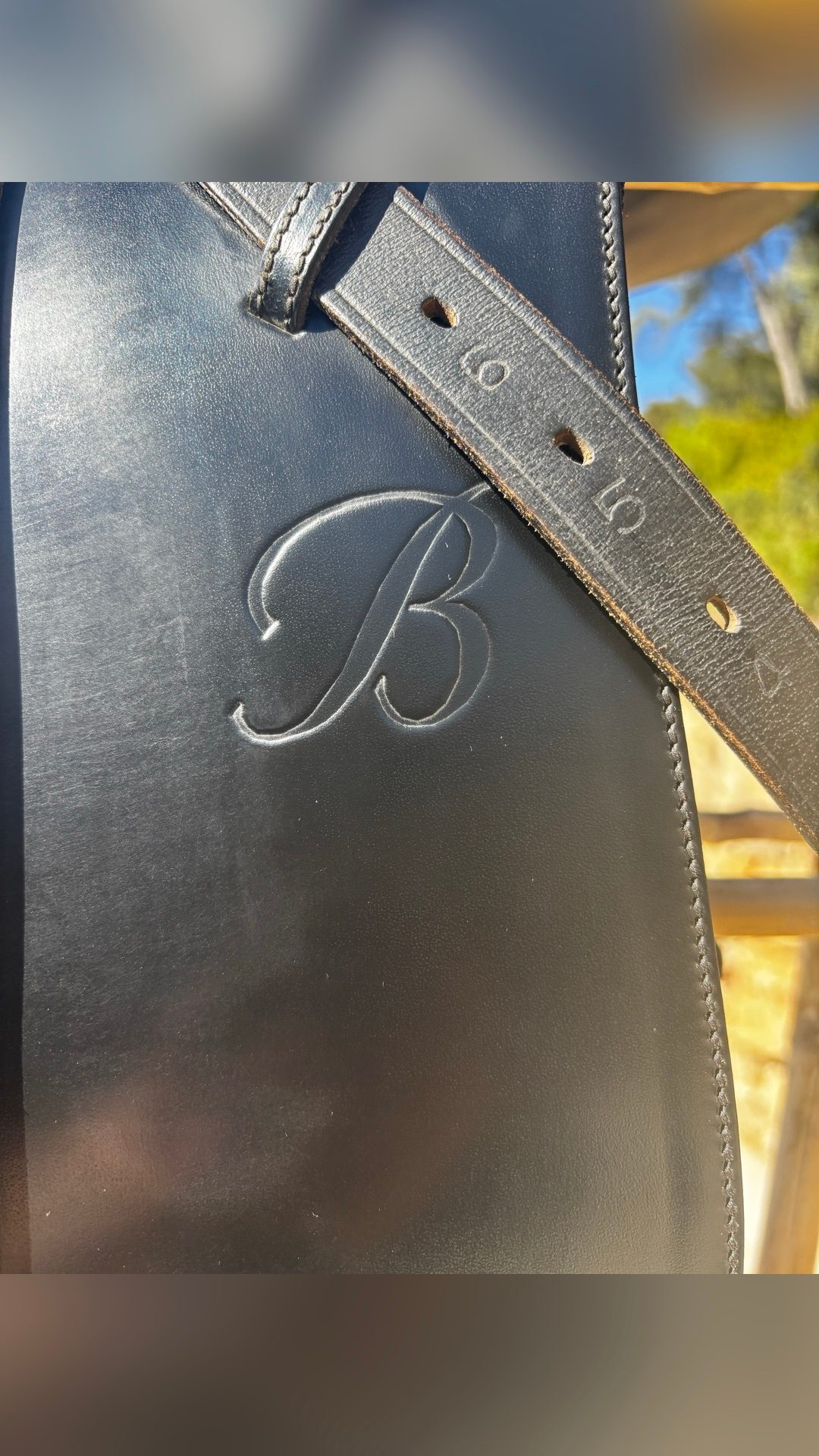 Selle de dressage Wintec Bates cuir, média 2
