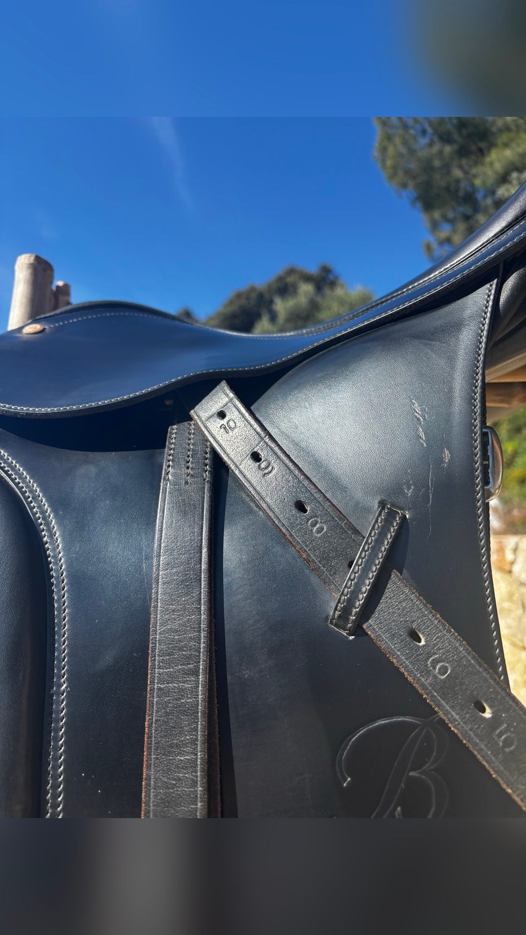 Selle de dressage Wintec Bates cuir, média 3
