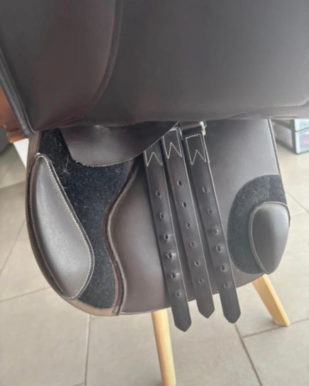 Selle Norton, média 5
