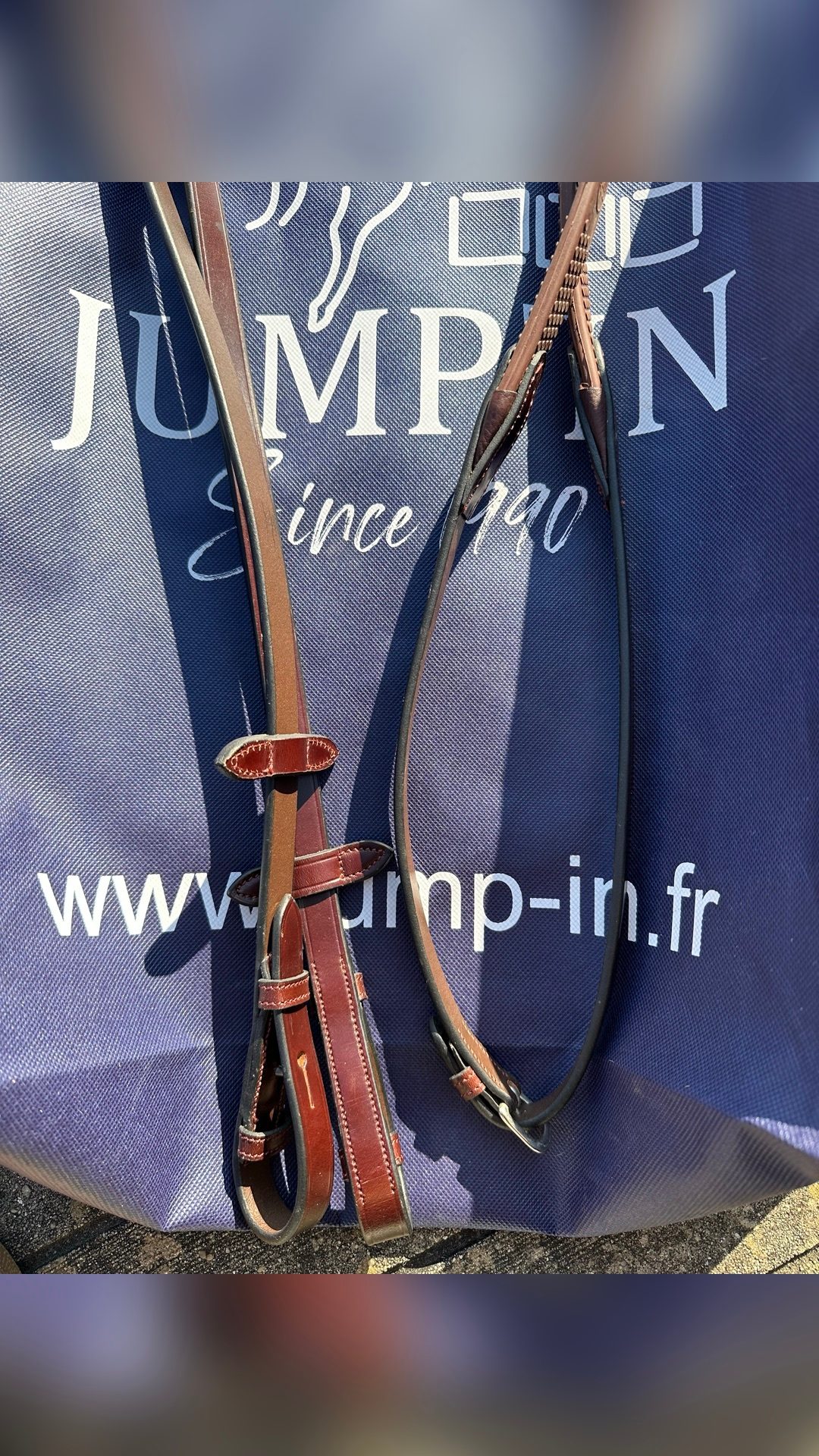 Rênes Jumpin COB, média 3