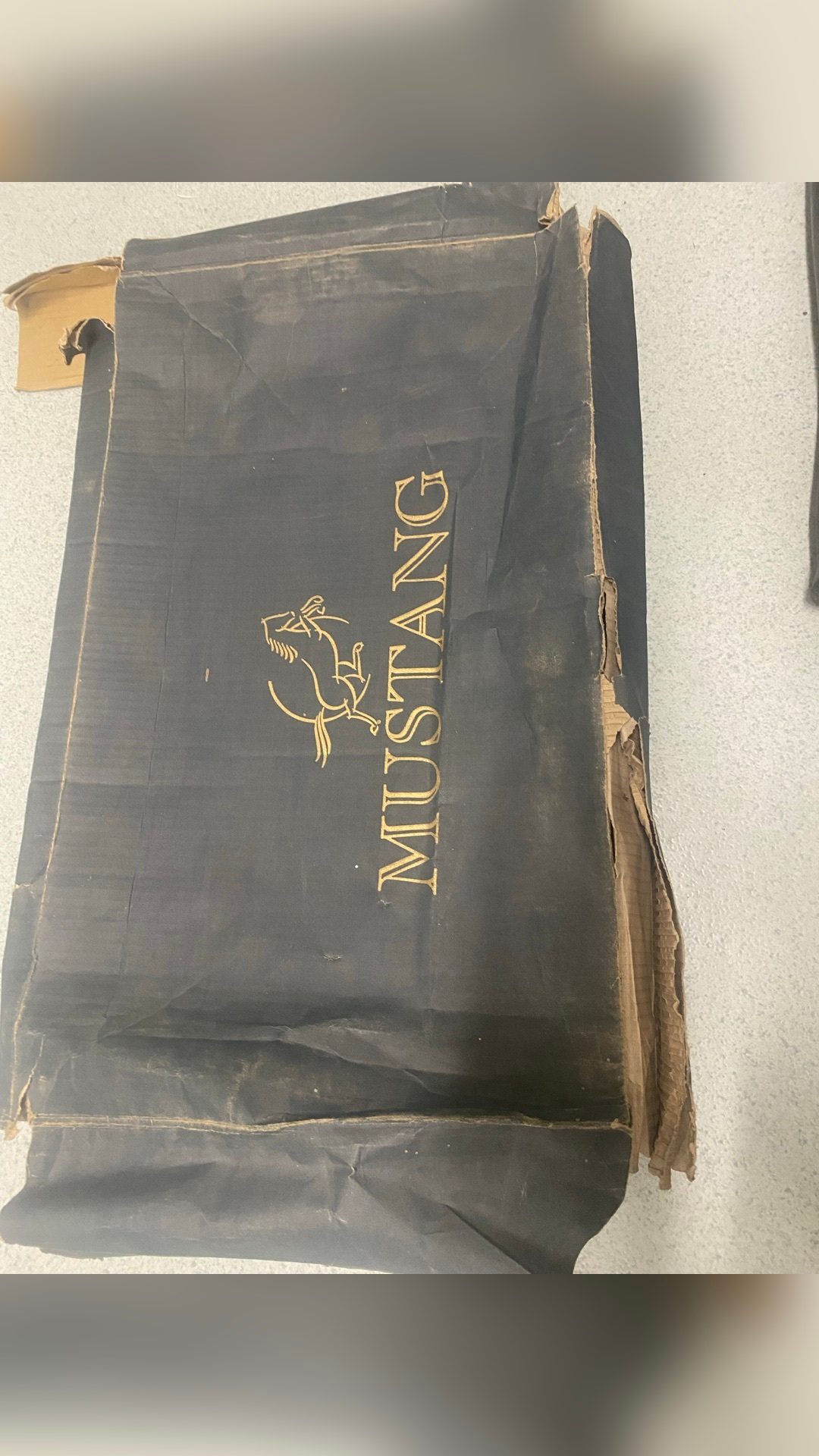 Botte mustang, média 8