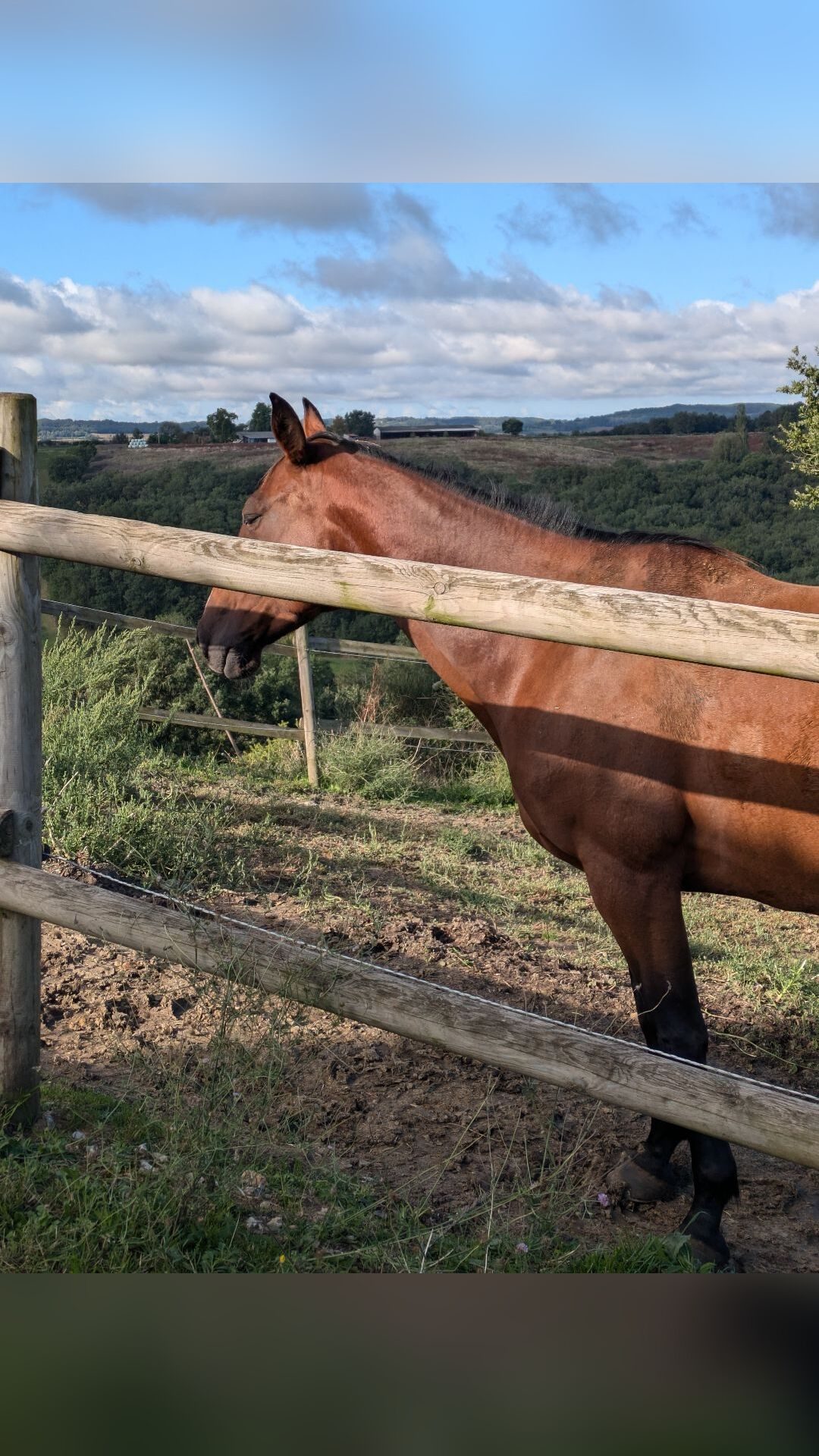 ISIS DE BENAC 1'20"2 (MEL4H), média 21