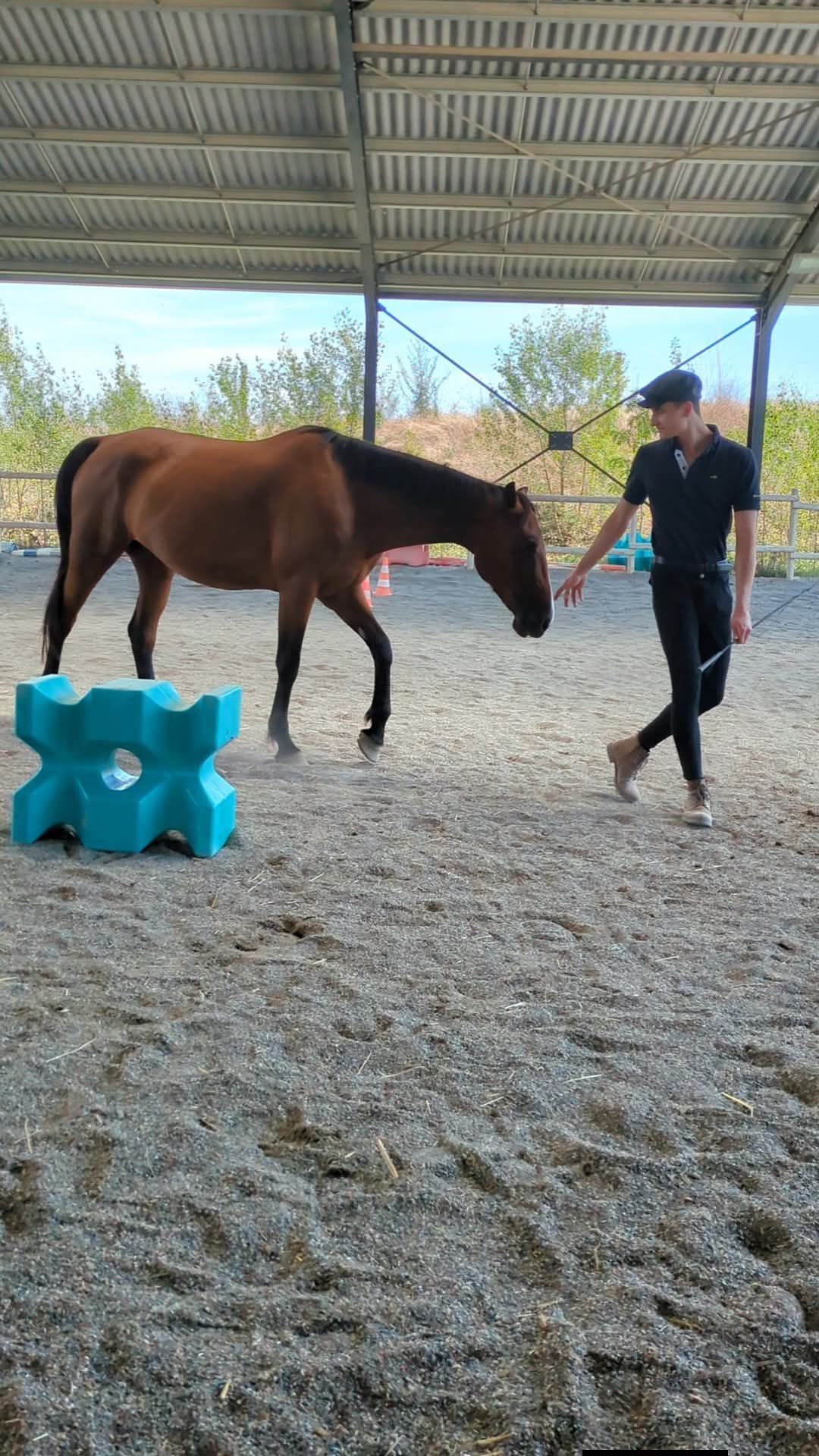 ISIS DE BENAC 1'20"2 (MEL4H), média 5