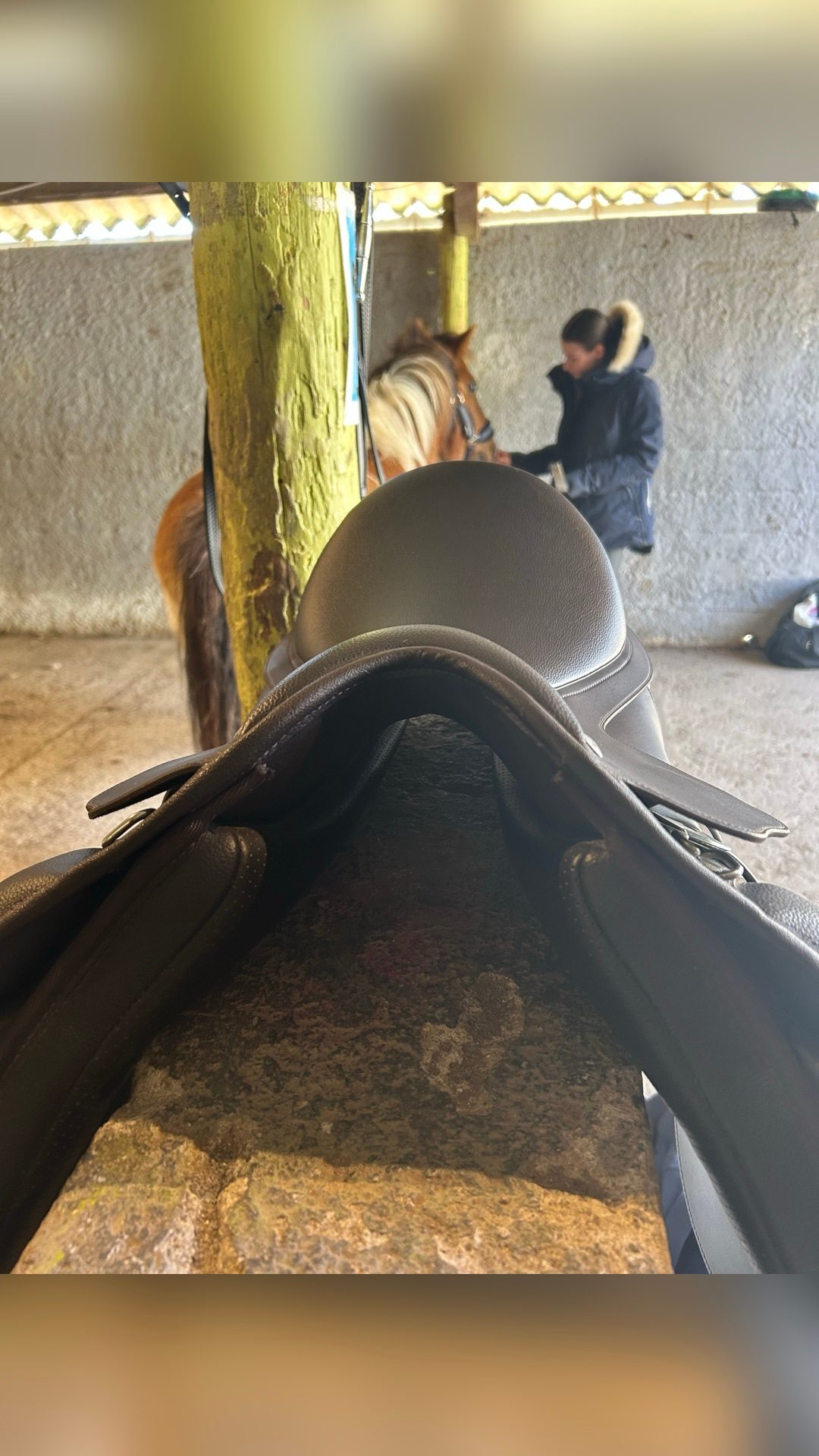 Selle Wintec, média 4