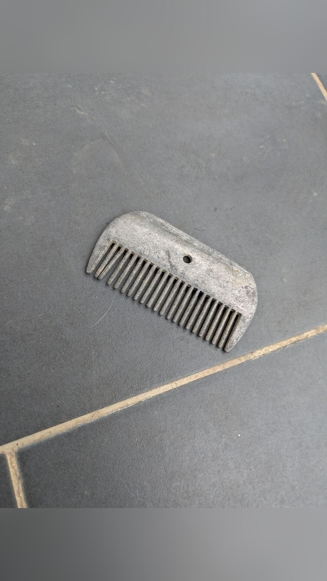 Brosses de pansage, média 2