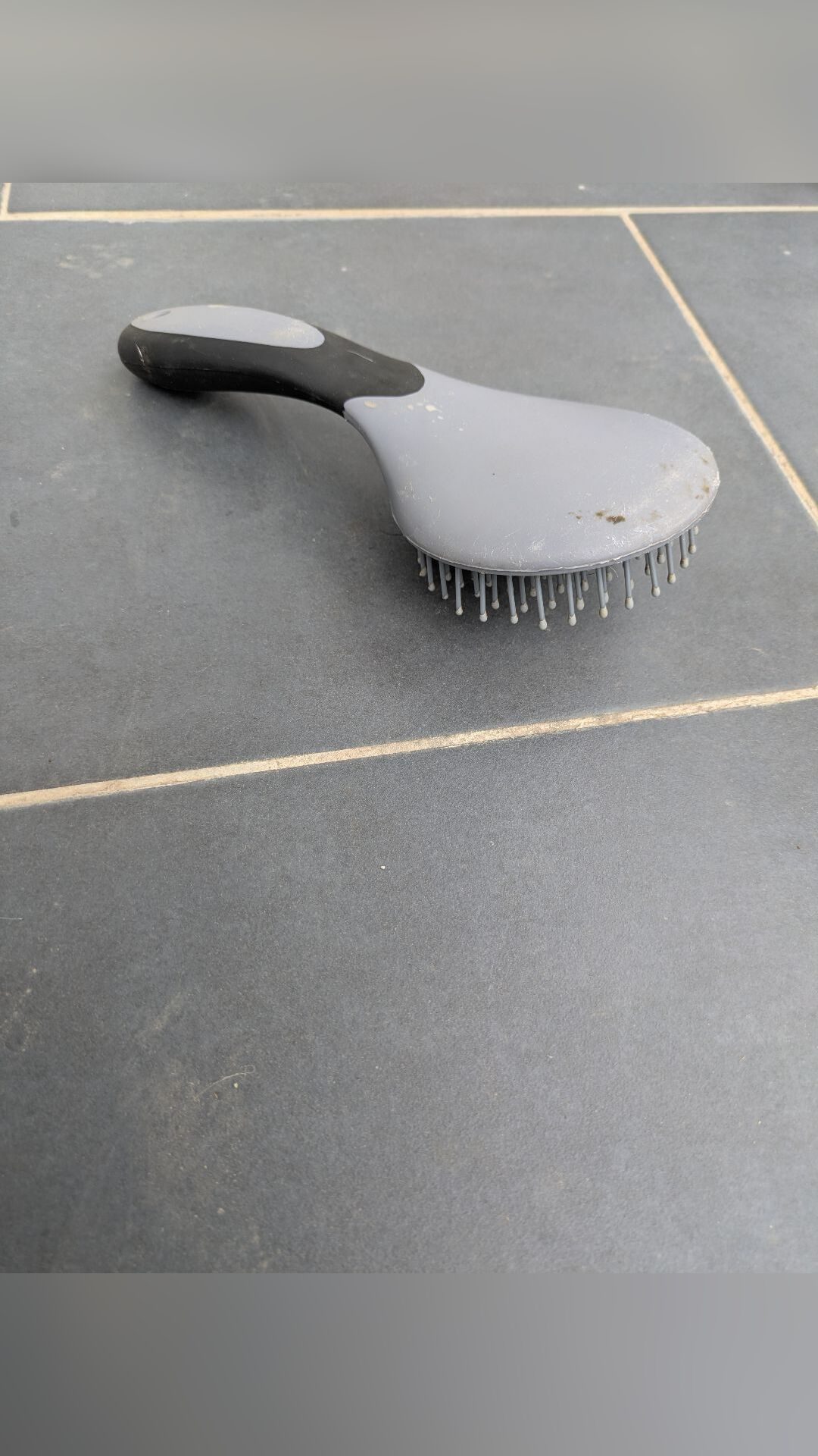 Brosses de pansage, média 4