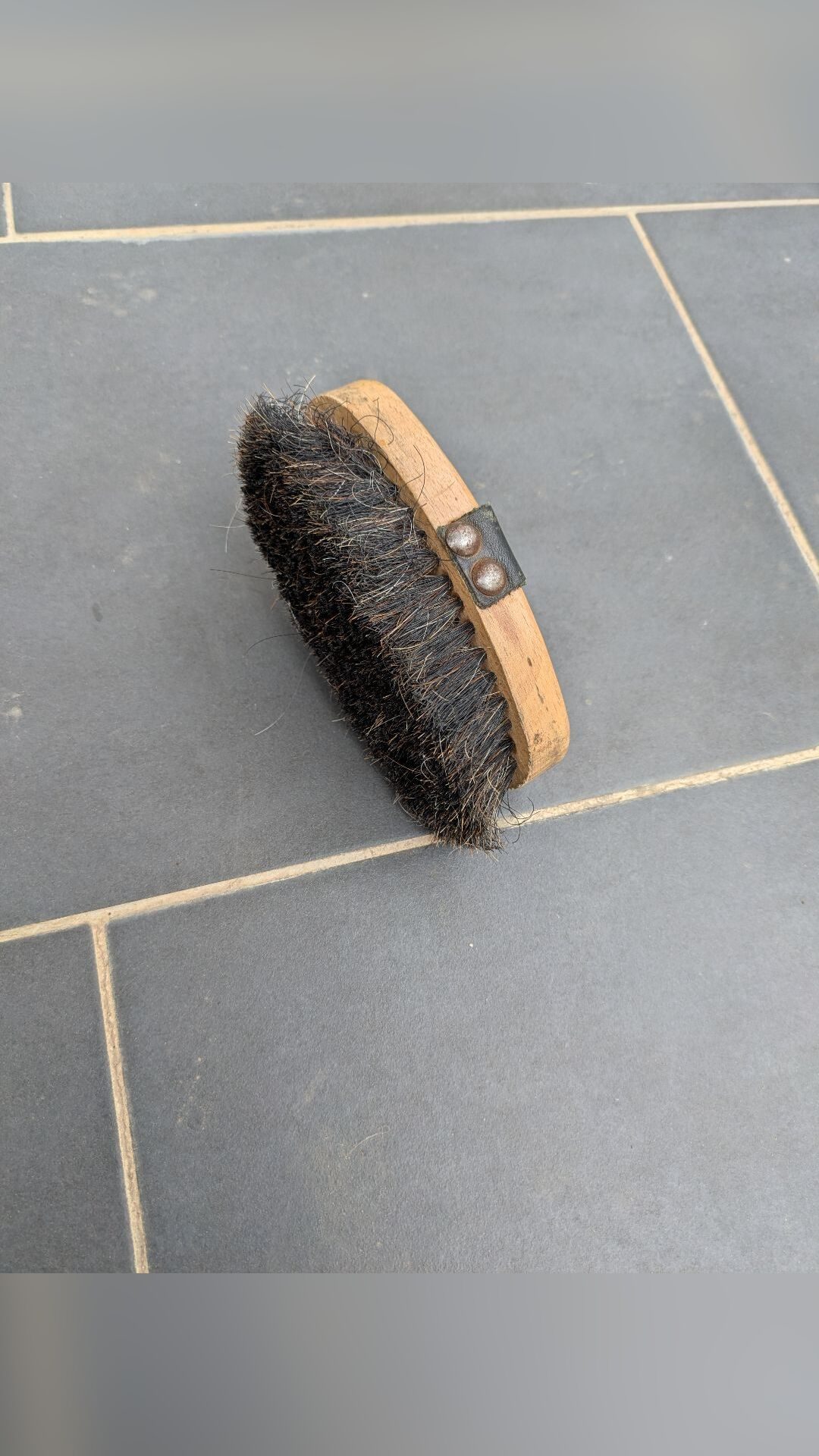 Brosses de pansage, média 5