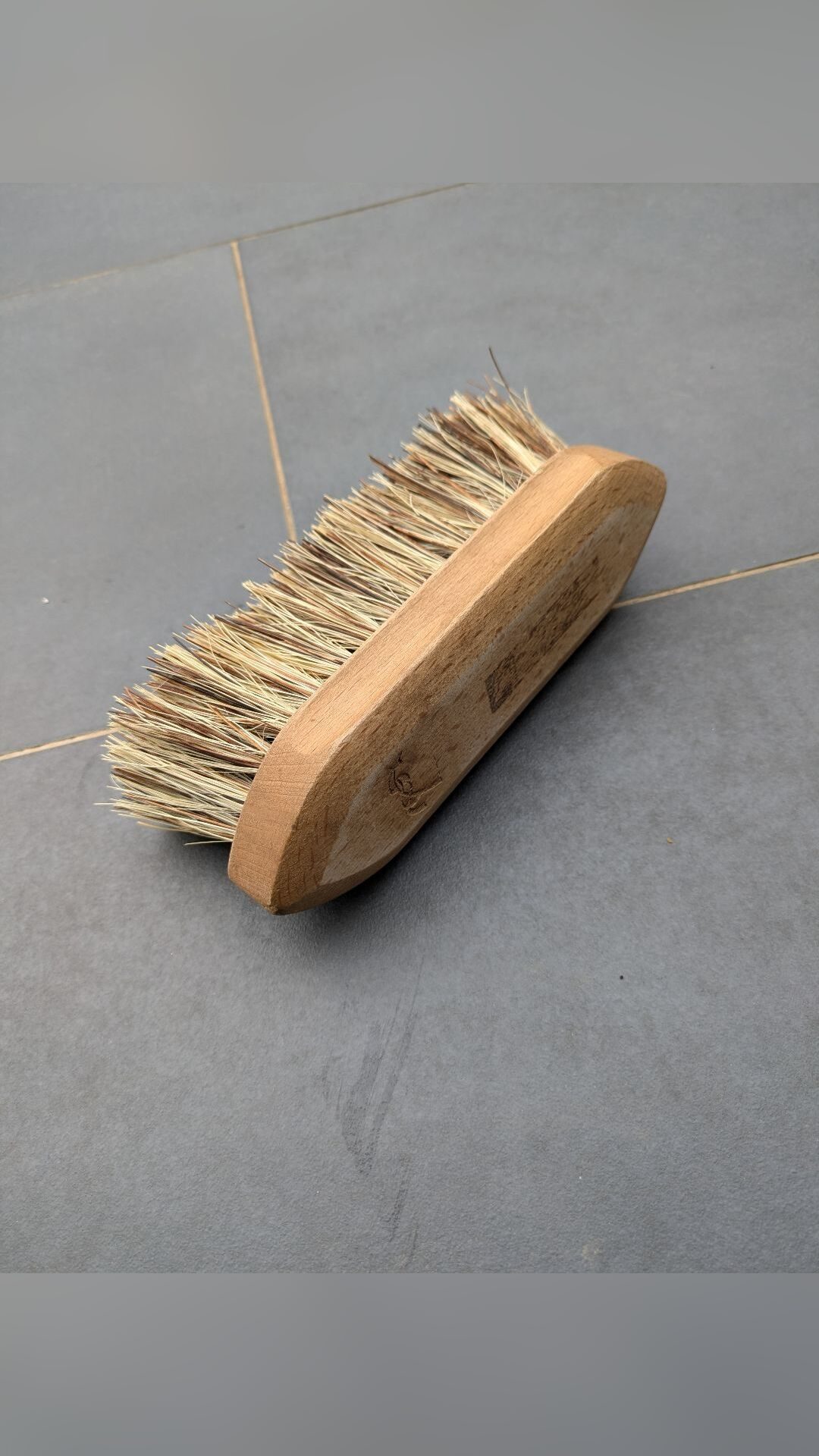 Brosse Pénélope, média 2