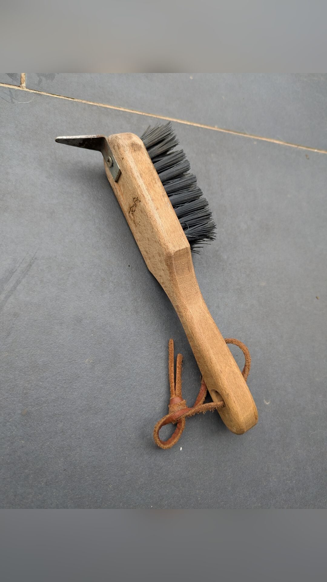 Brosse Pénélope, média 3