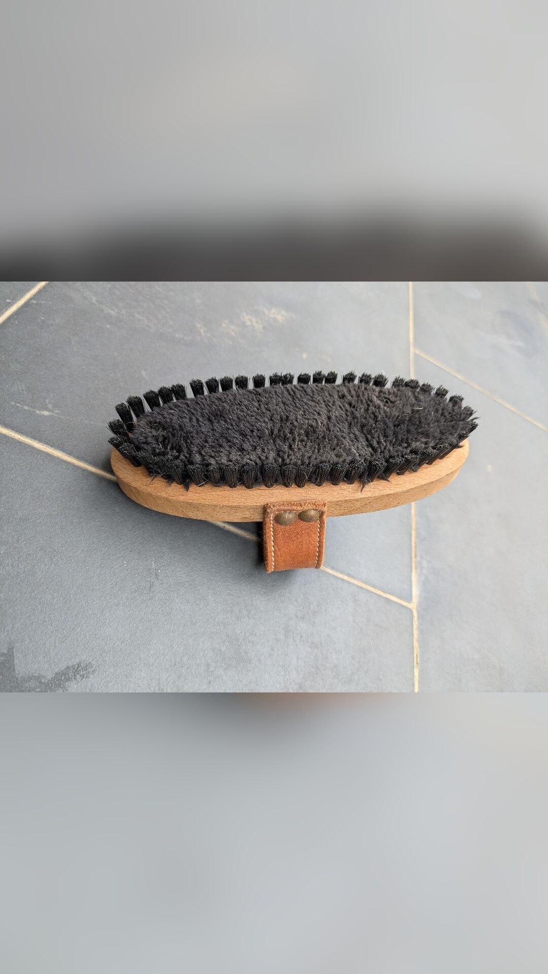 Brosse Pénélope, média 4