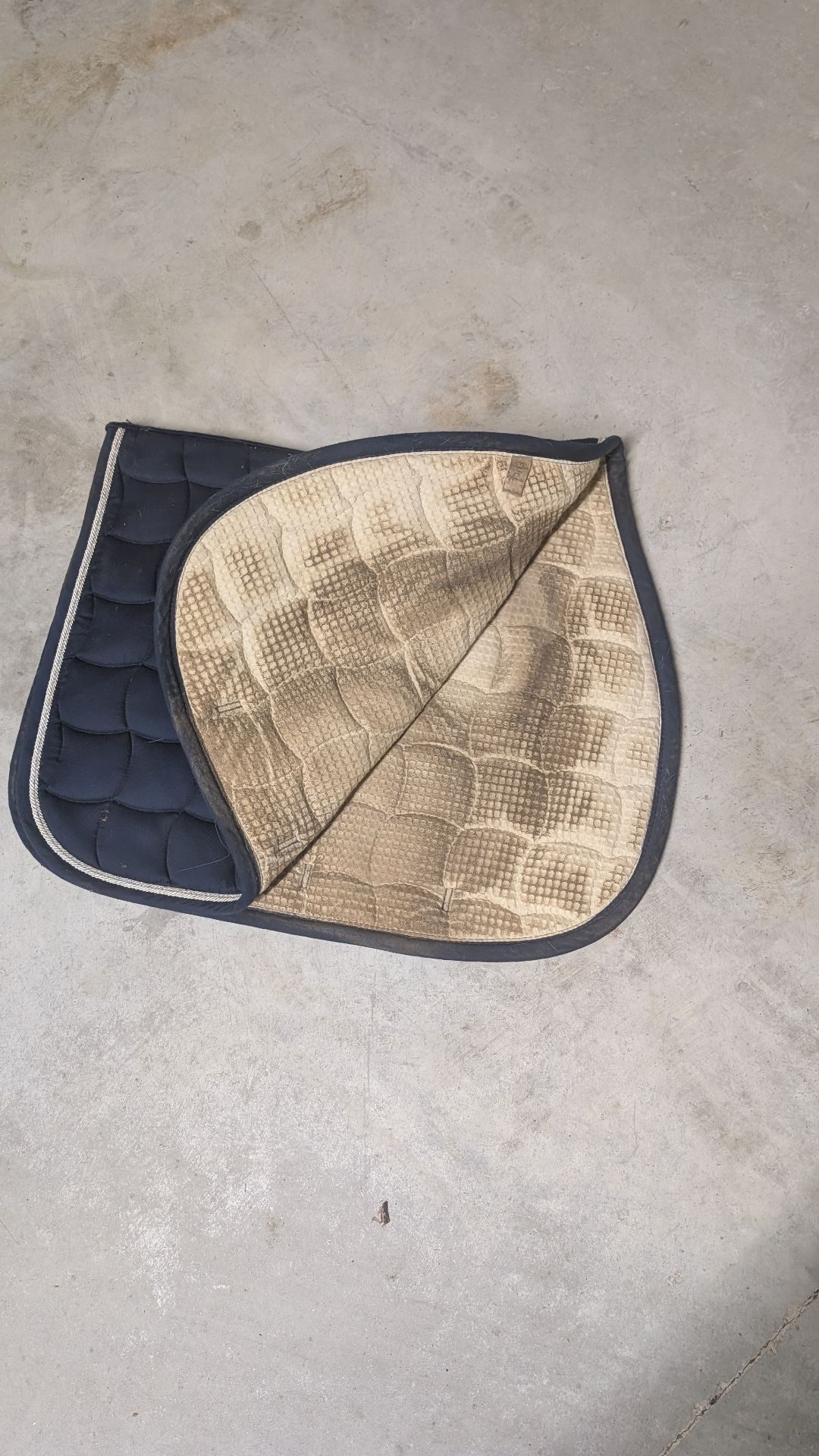 Tapis de selle bleu marine - Classique, média 3