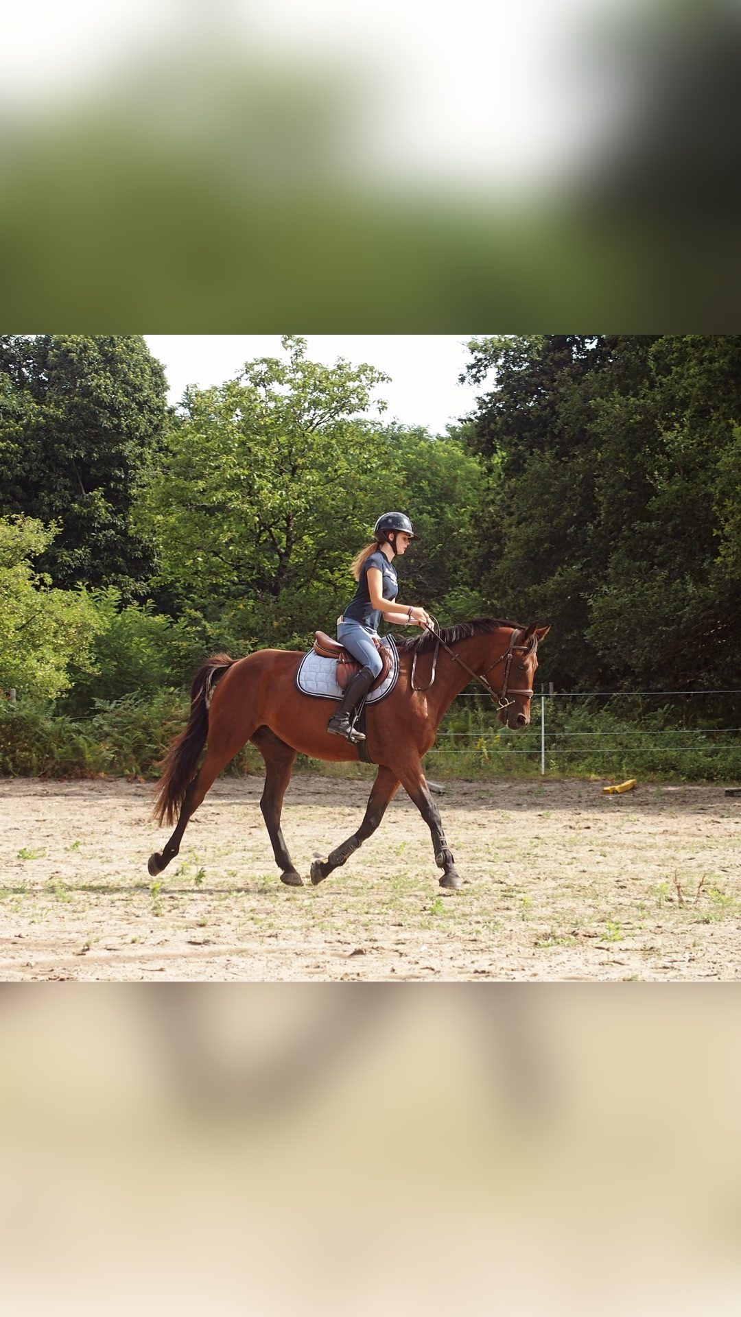 IQUEM SEVEN 1'15"9 (MEC3H), média 2