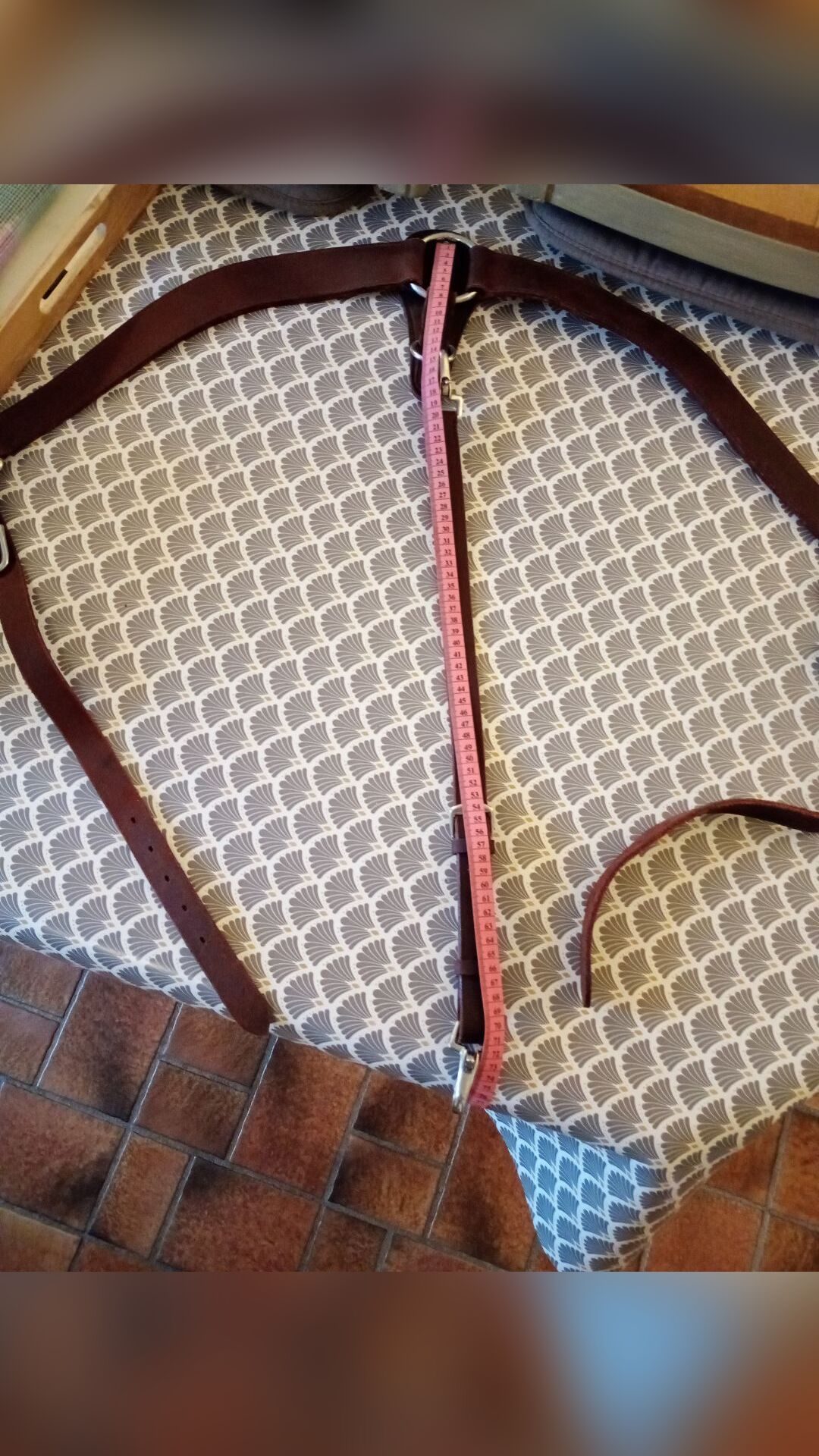 Collier de chasse, média 3