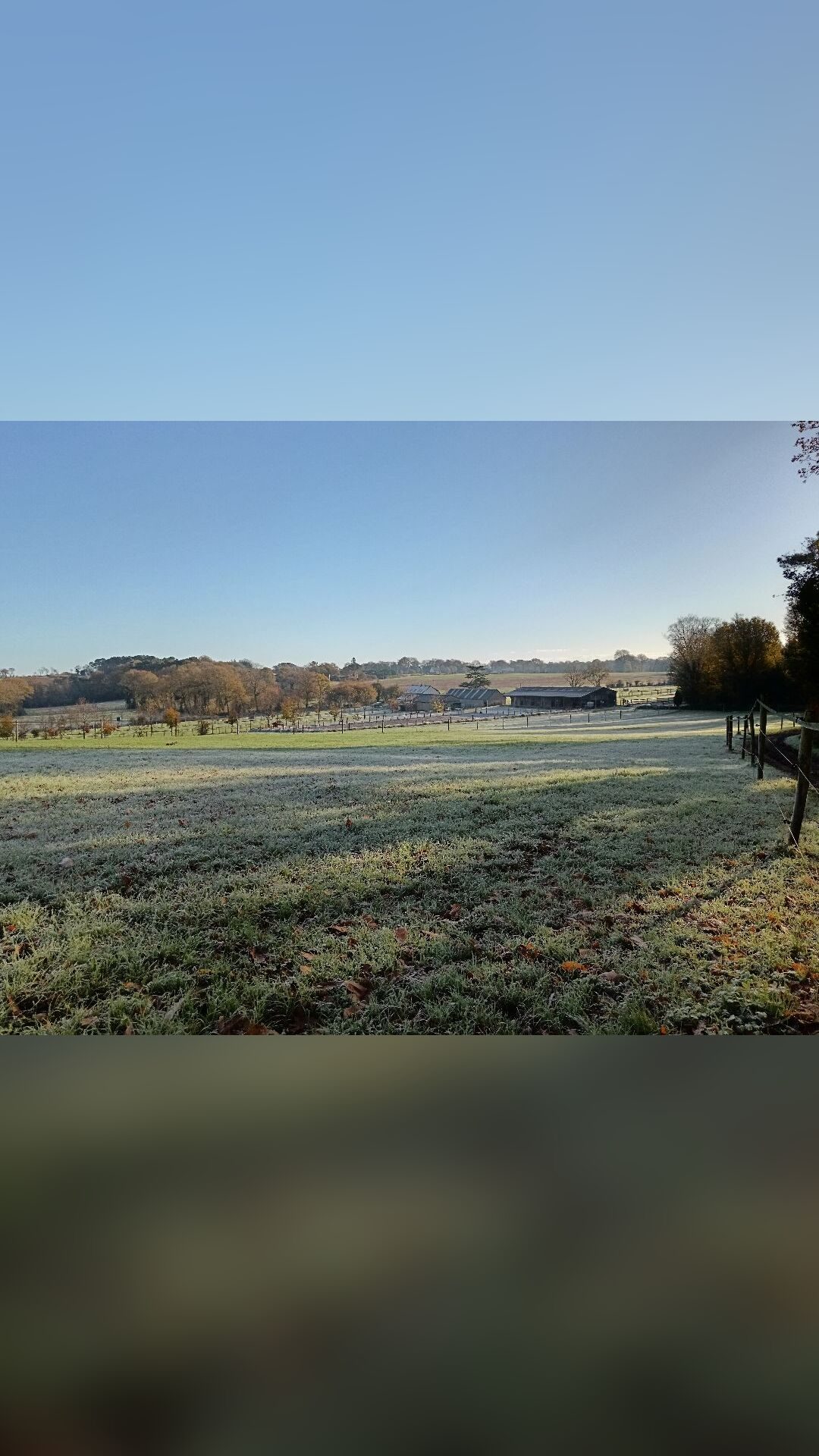 Pension pour chevaux, média 3