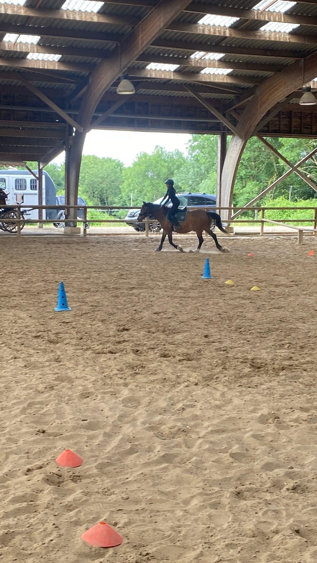 Tapis d’équitation Fouganza vert taille cheval, média 4