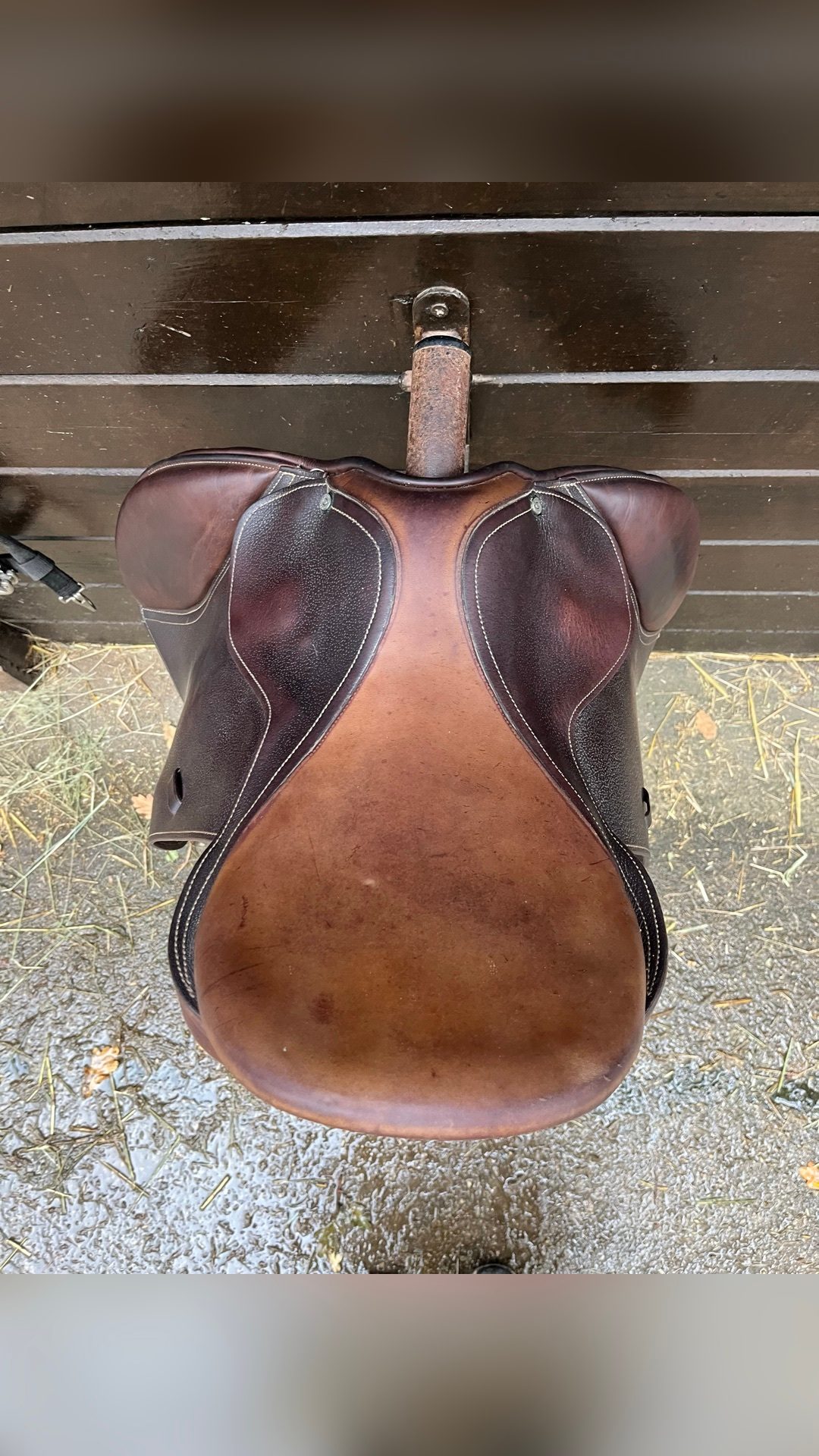 Selle Guy Cantin, média 2