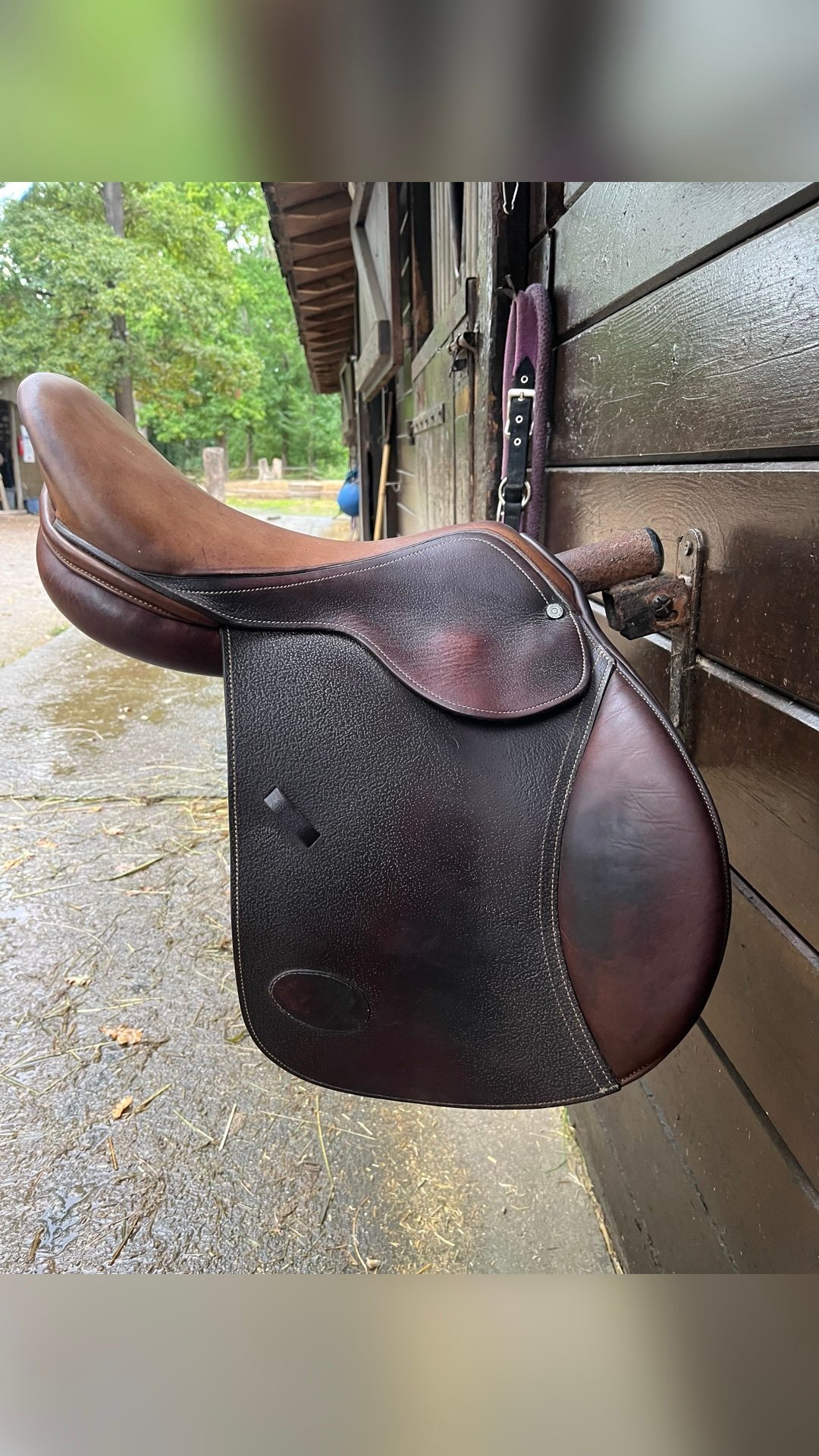 Selle Guy Cantin, média 3