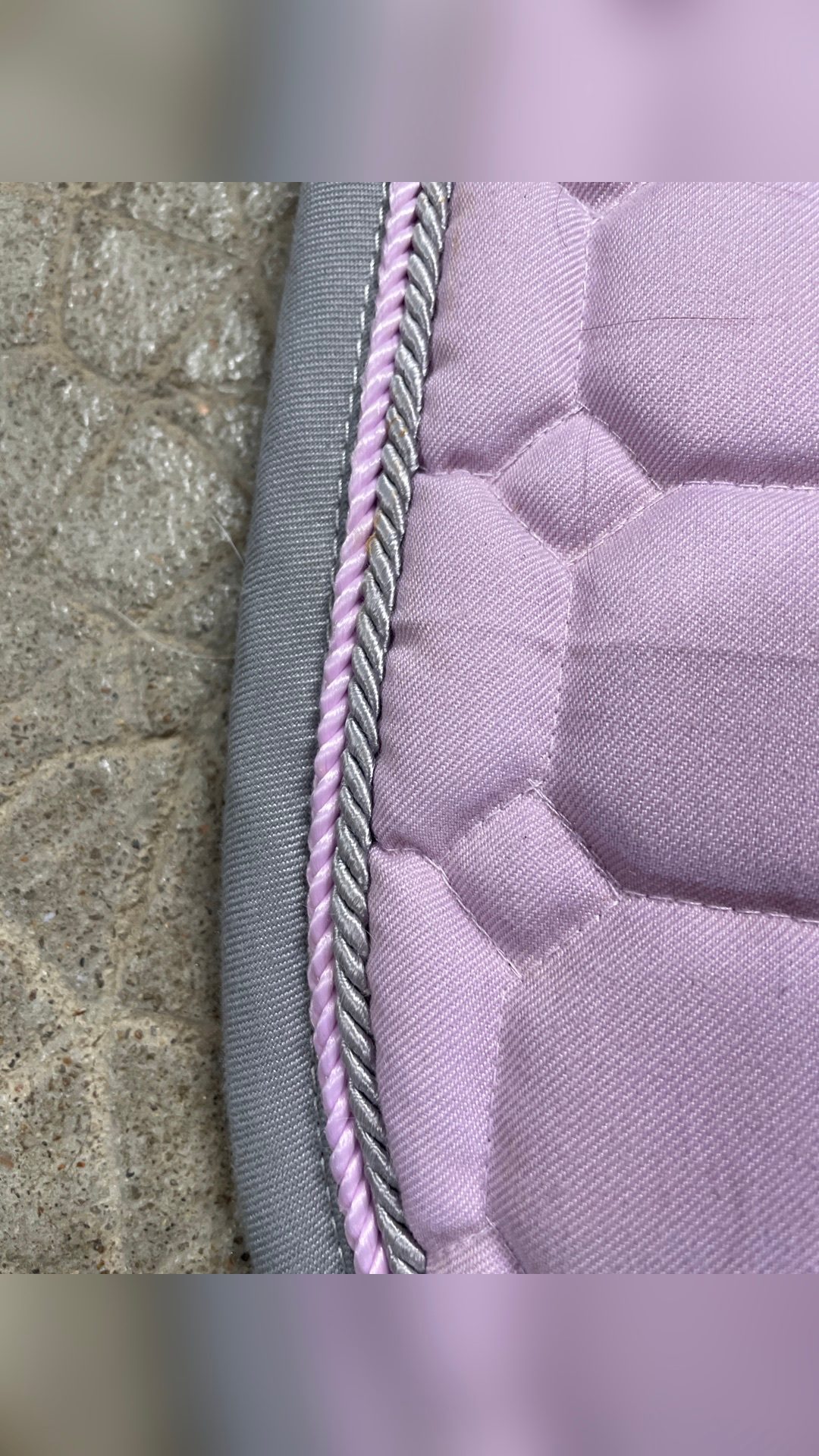 Tapis, média 5
