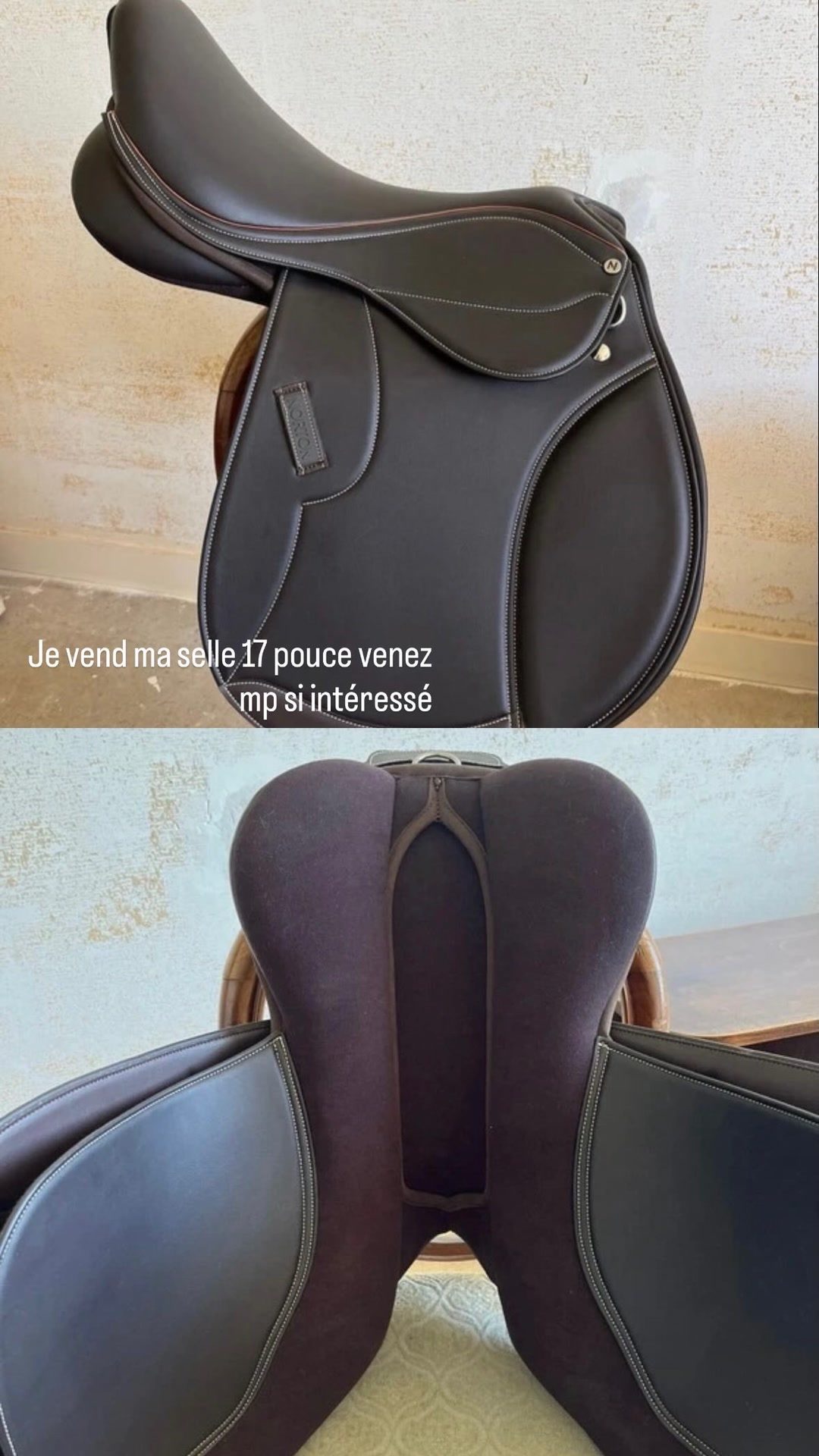 Selle Norton, média 4