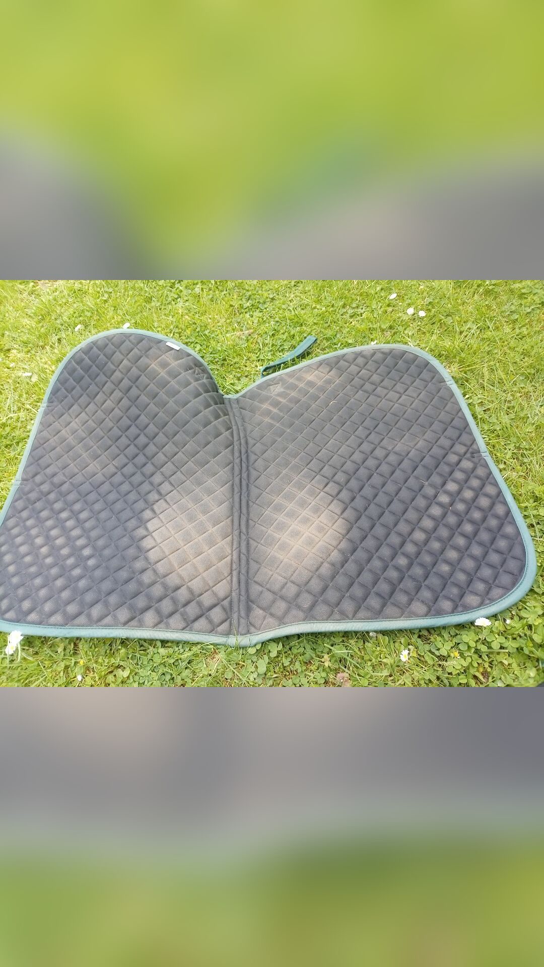 Tapis poney, média 3