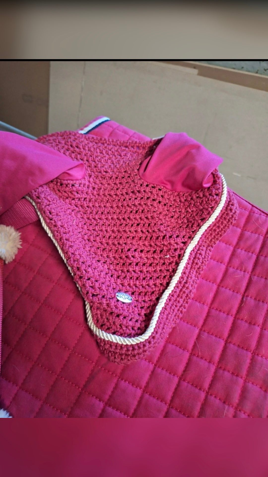 Tapis fuchsia, média 3