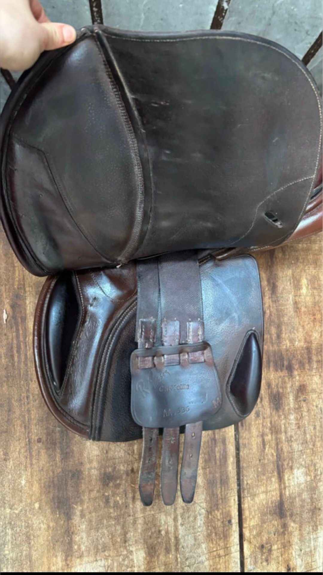 Selle Pessoa GNX Élite poney 16,5”, média 2