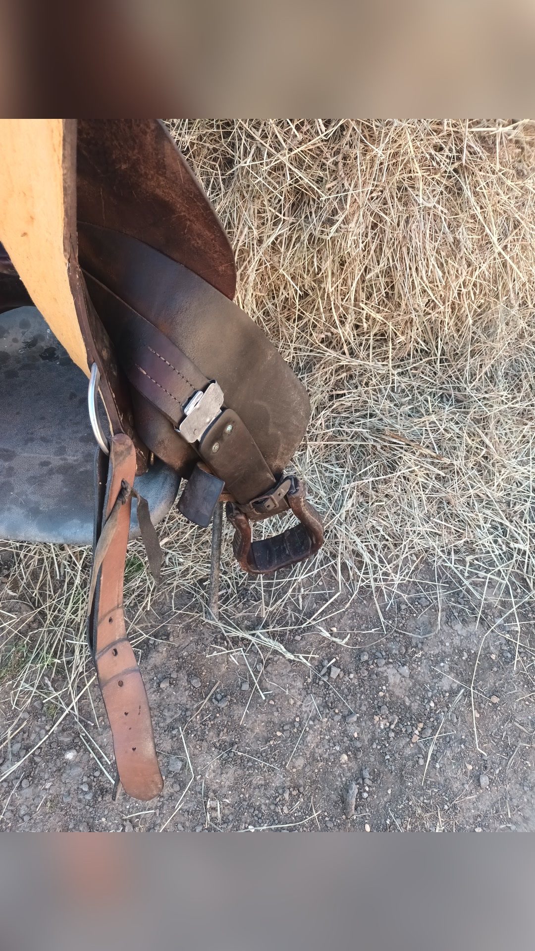 Selle western, média 3