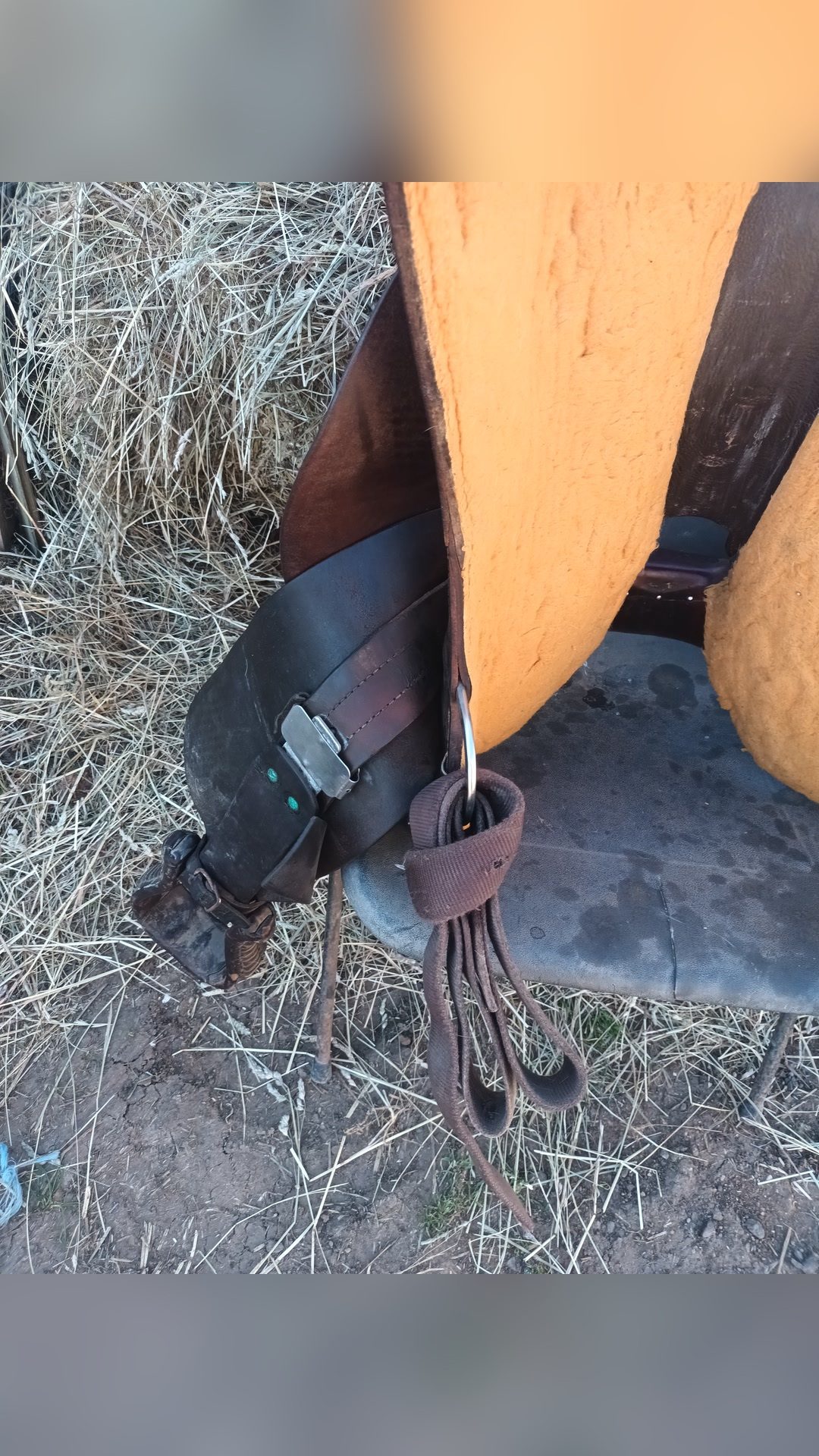 Selle western, média 4