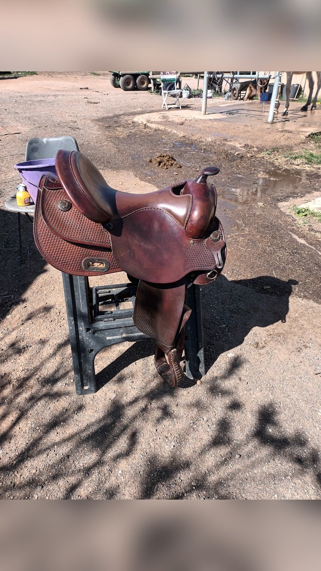Selle western, média 5