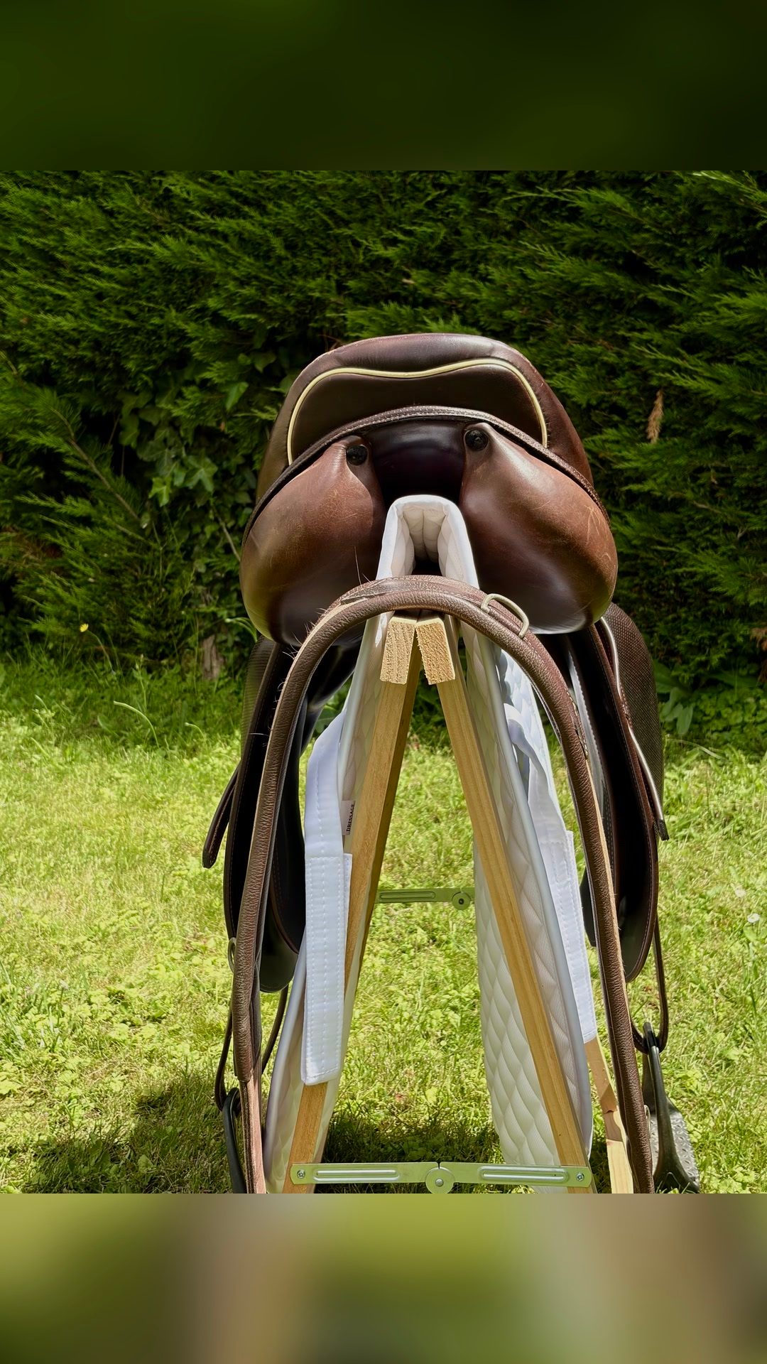 Selle Prestige, média 3