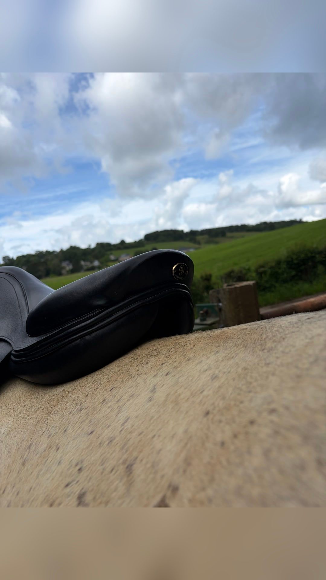 Selle BR, média 2