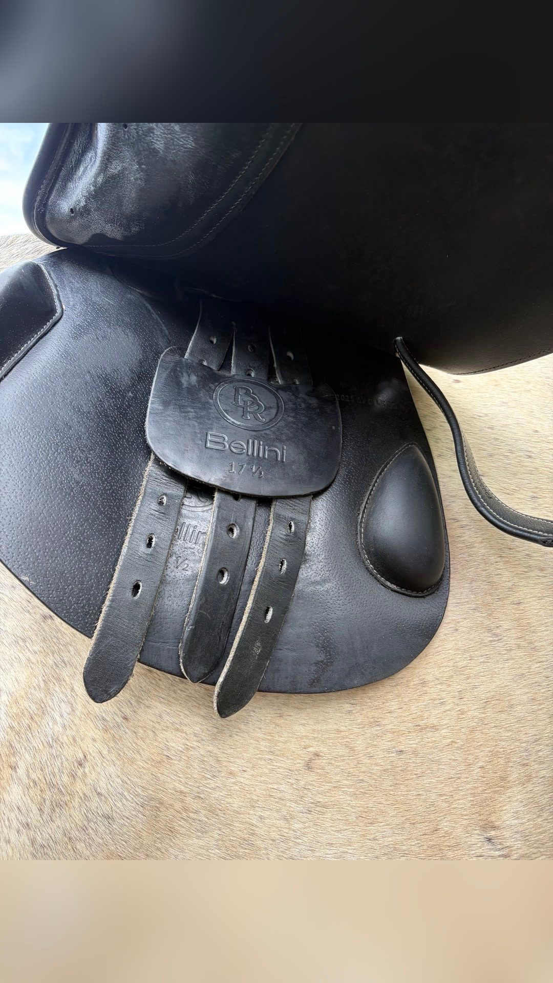 Selle BR, média 3