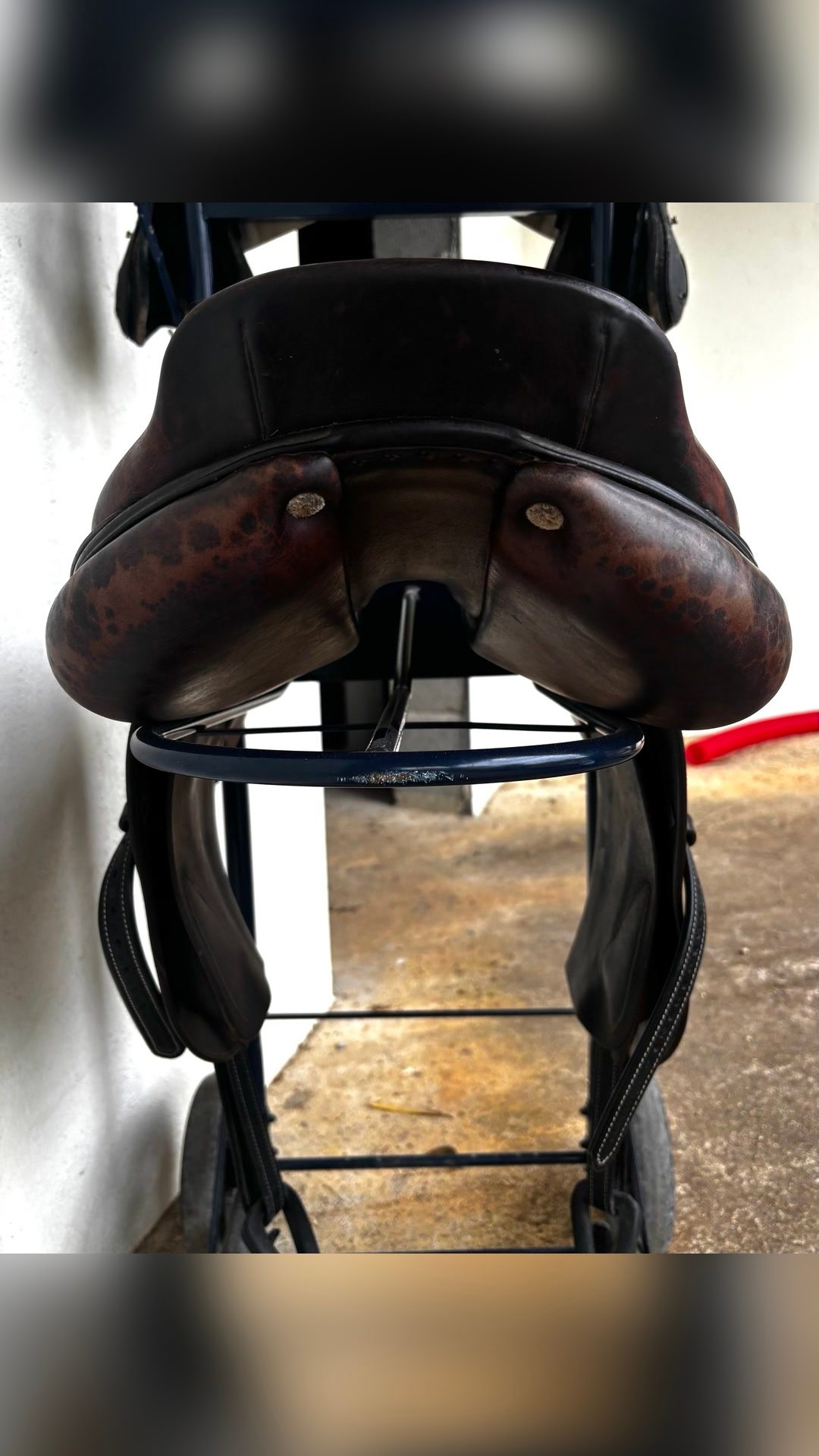 Selle CWD, média 4