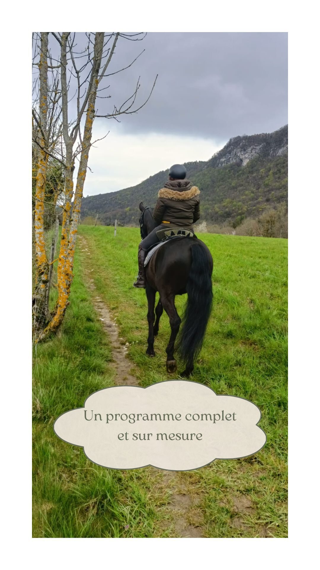 Forfait complet comportementaliste, média 3