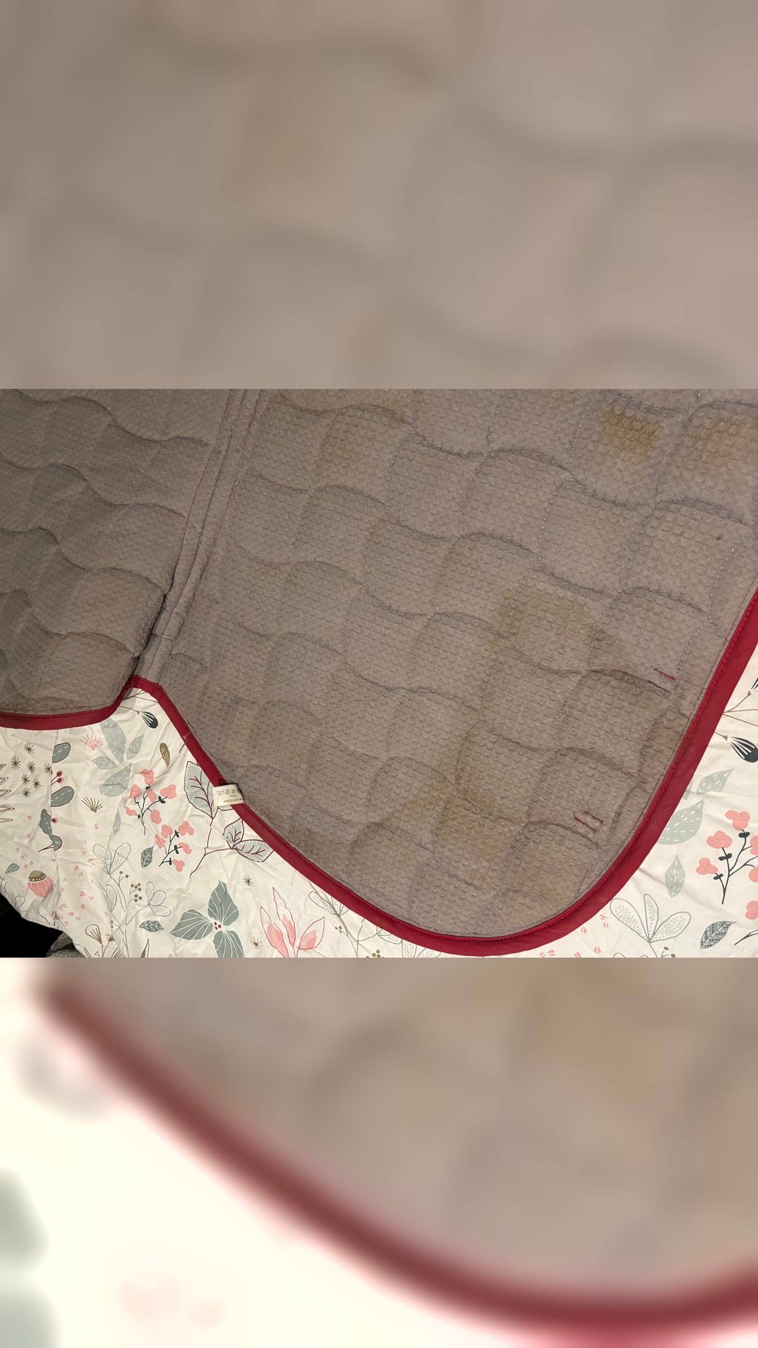 Tapis harcour, média 3