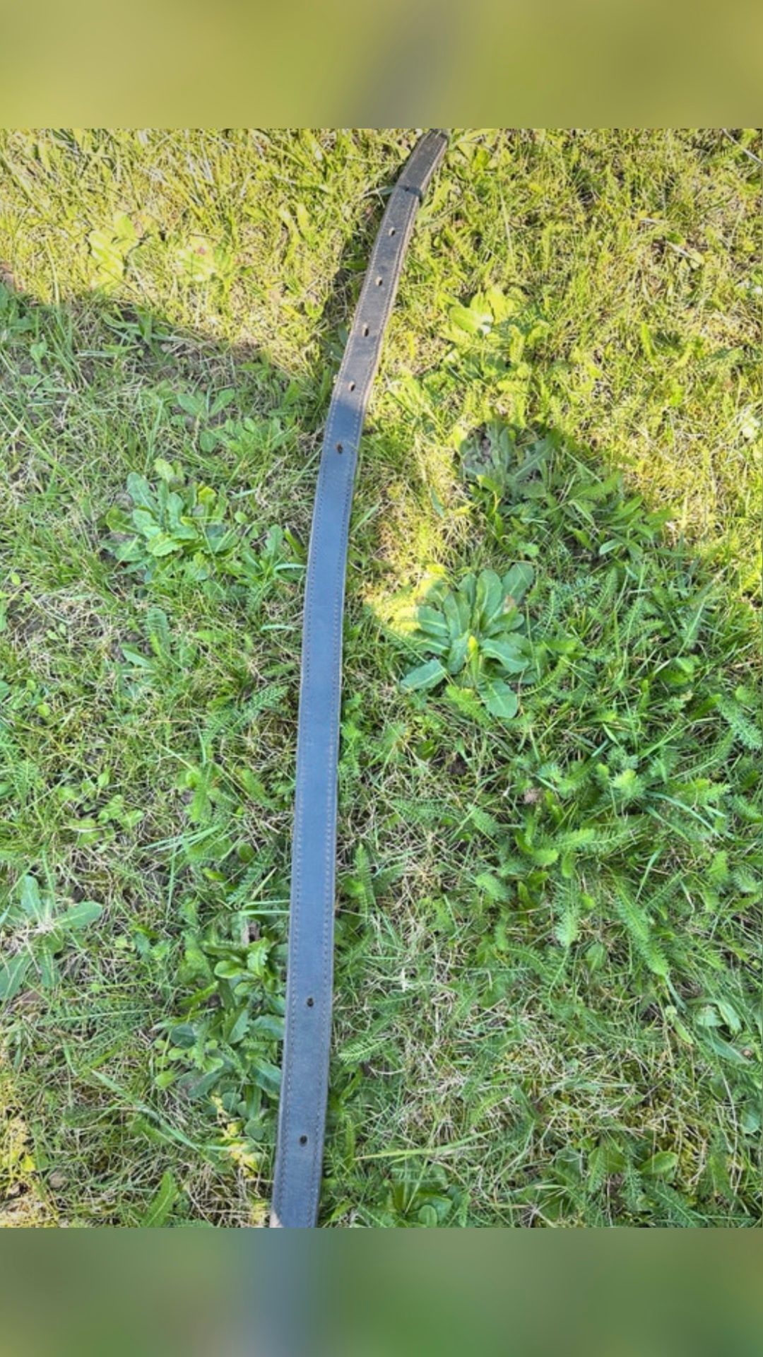 Trait d’attelage pour poney, média 2