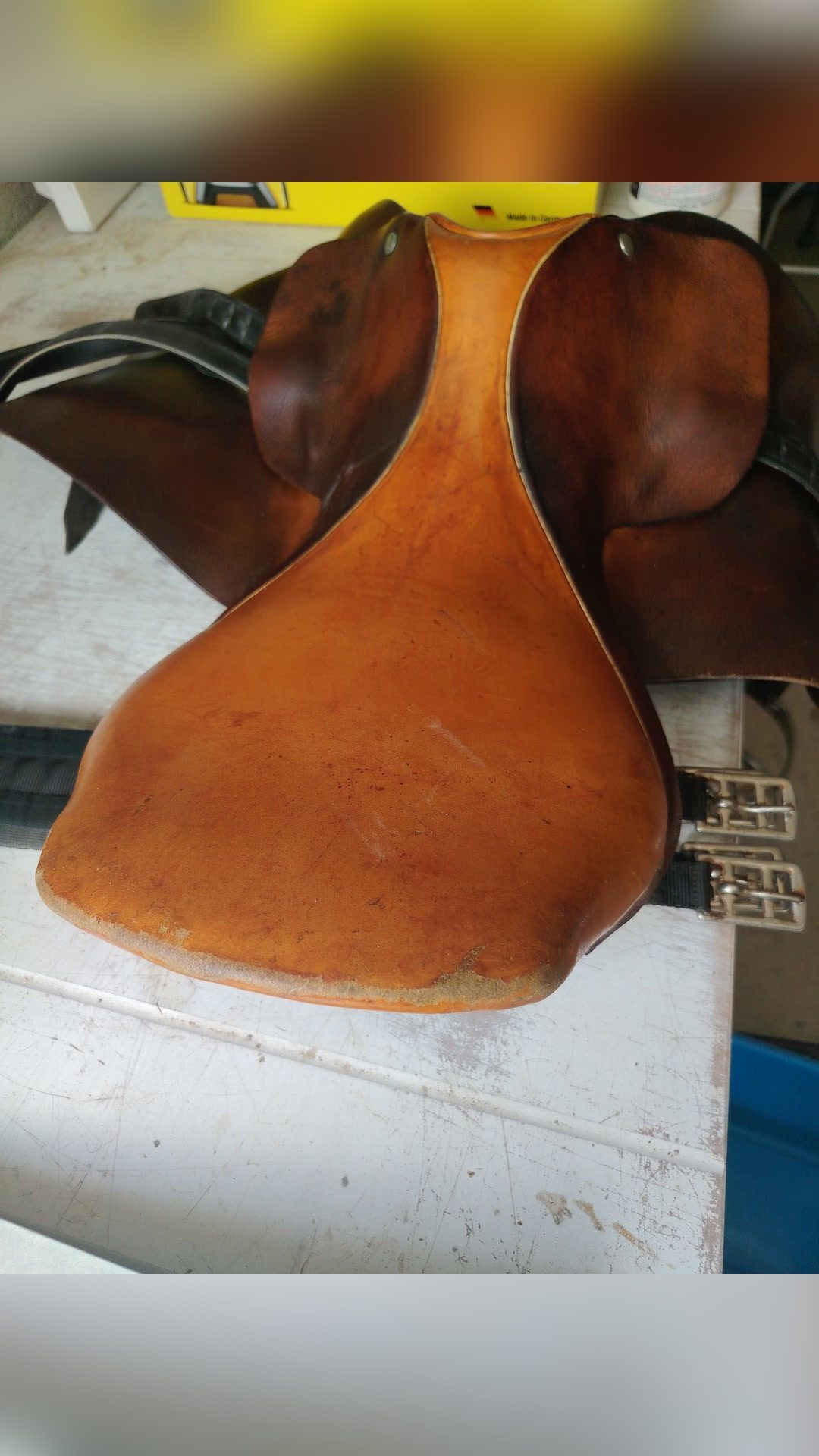 Selle Forestier, média 3