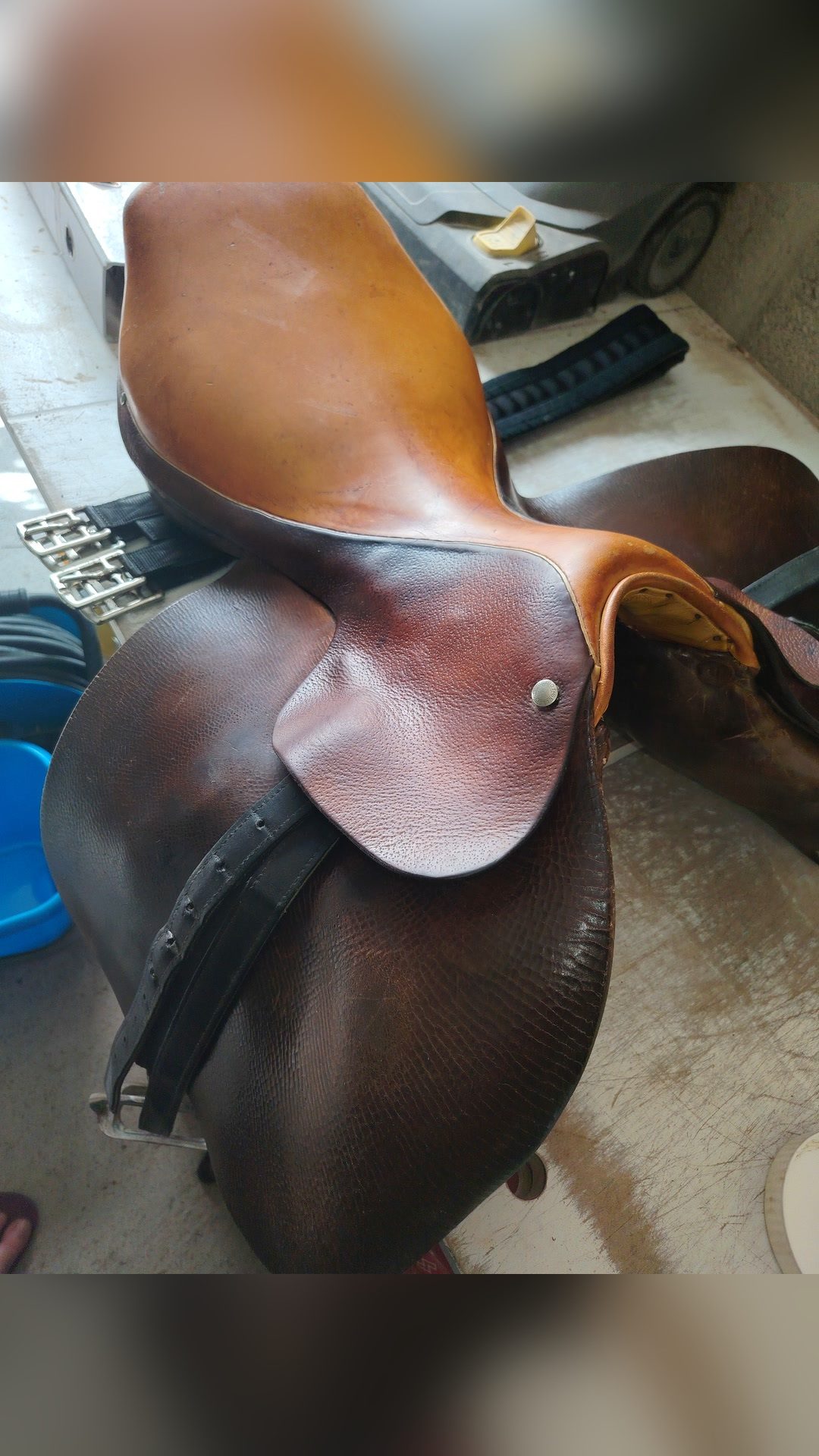 Selle Forestier, média 2