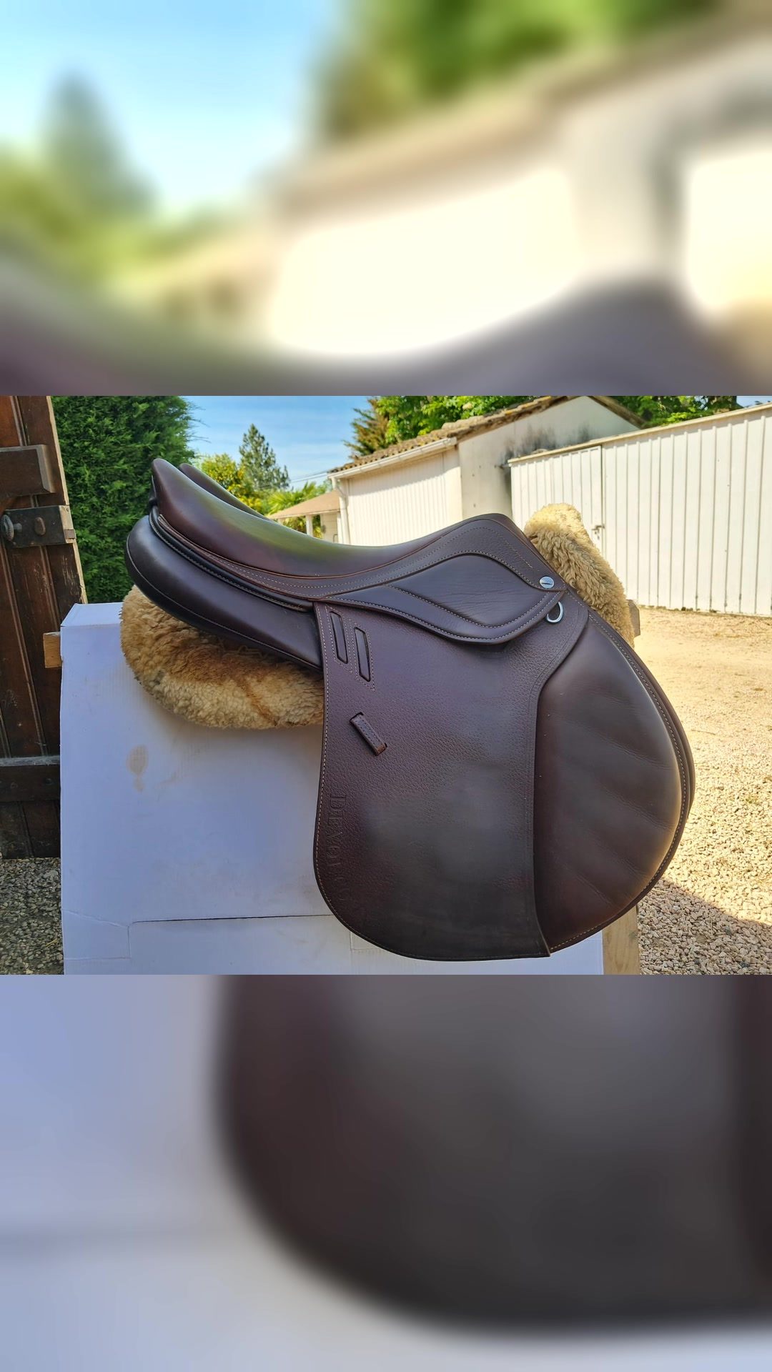 Selle Enara 17´, média 5
