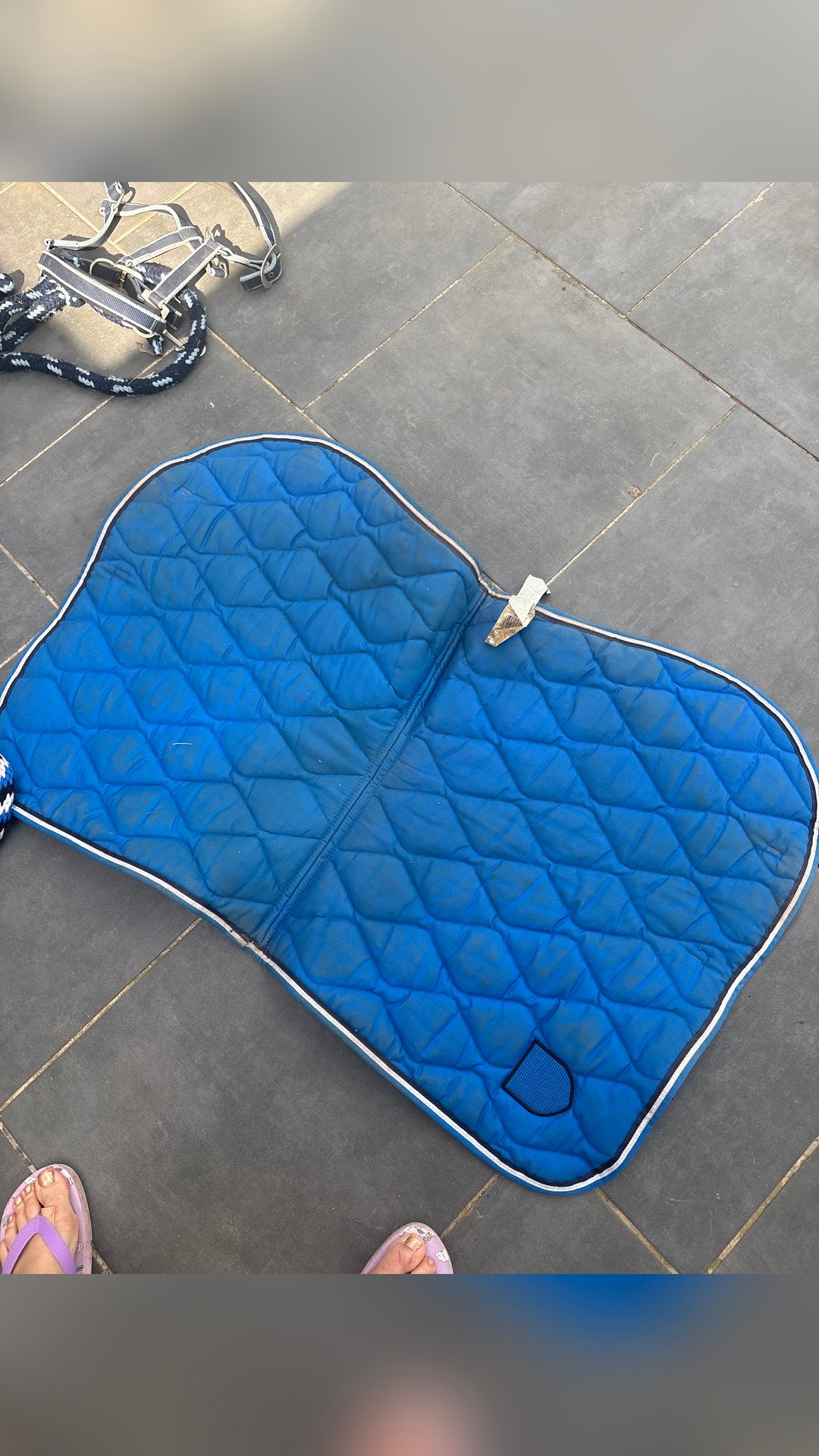 Tapis, média 4