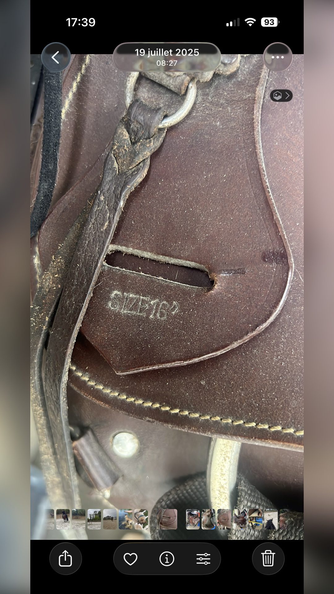Selle western, média 2