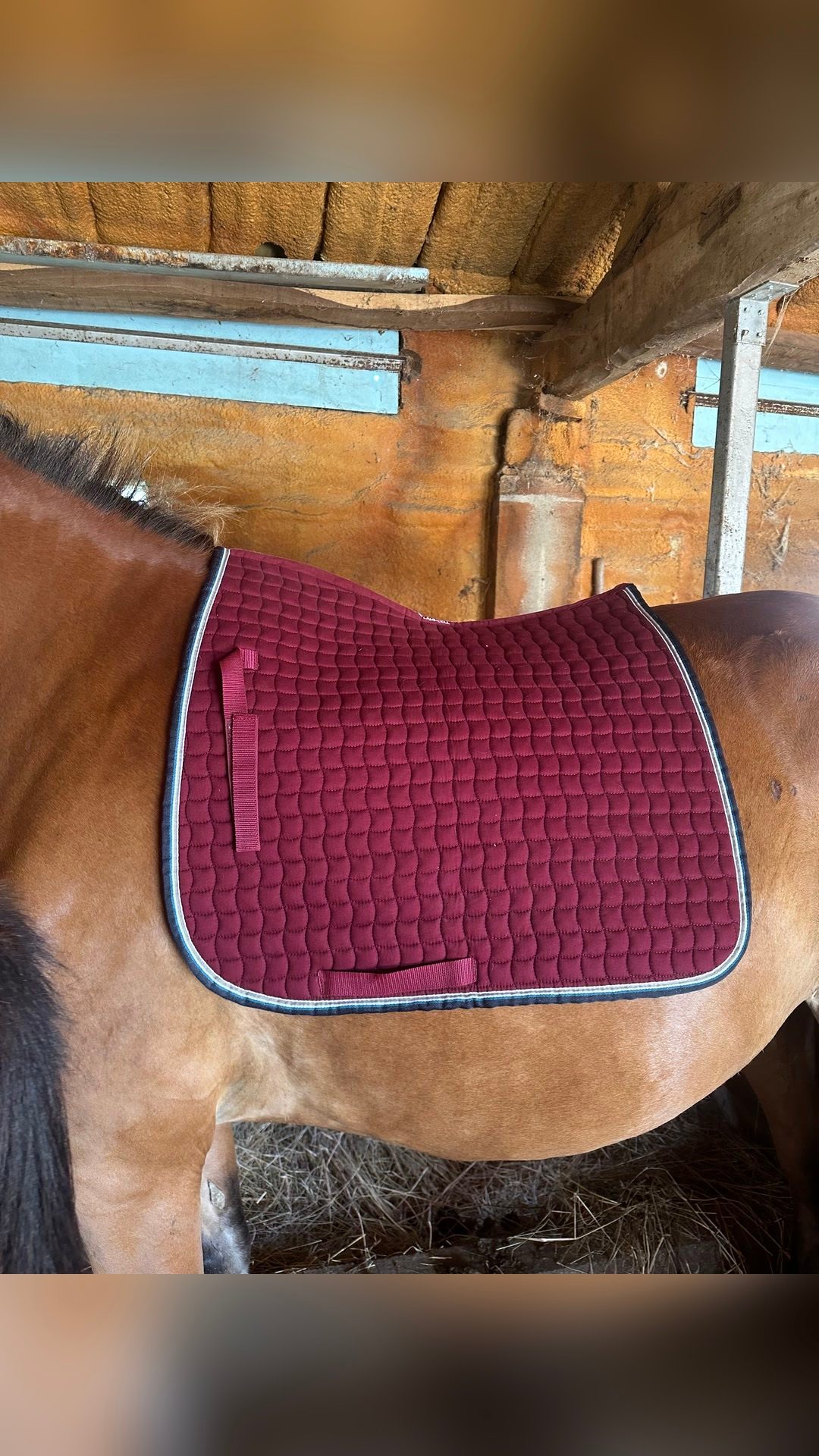 Tapis dressage, média 2