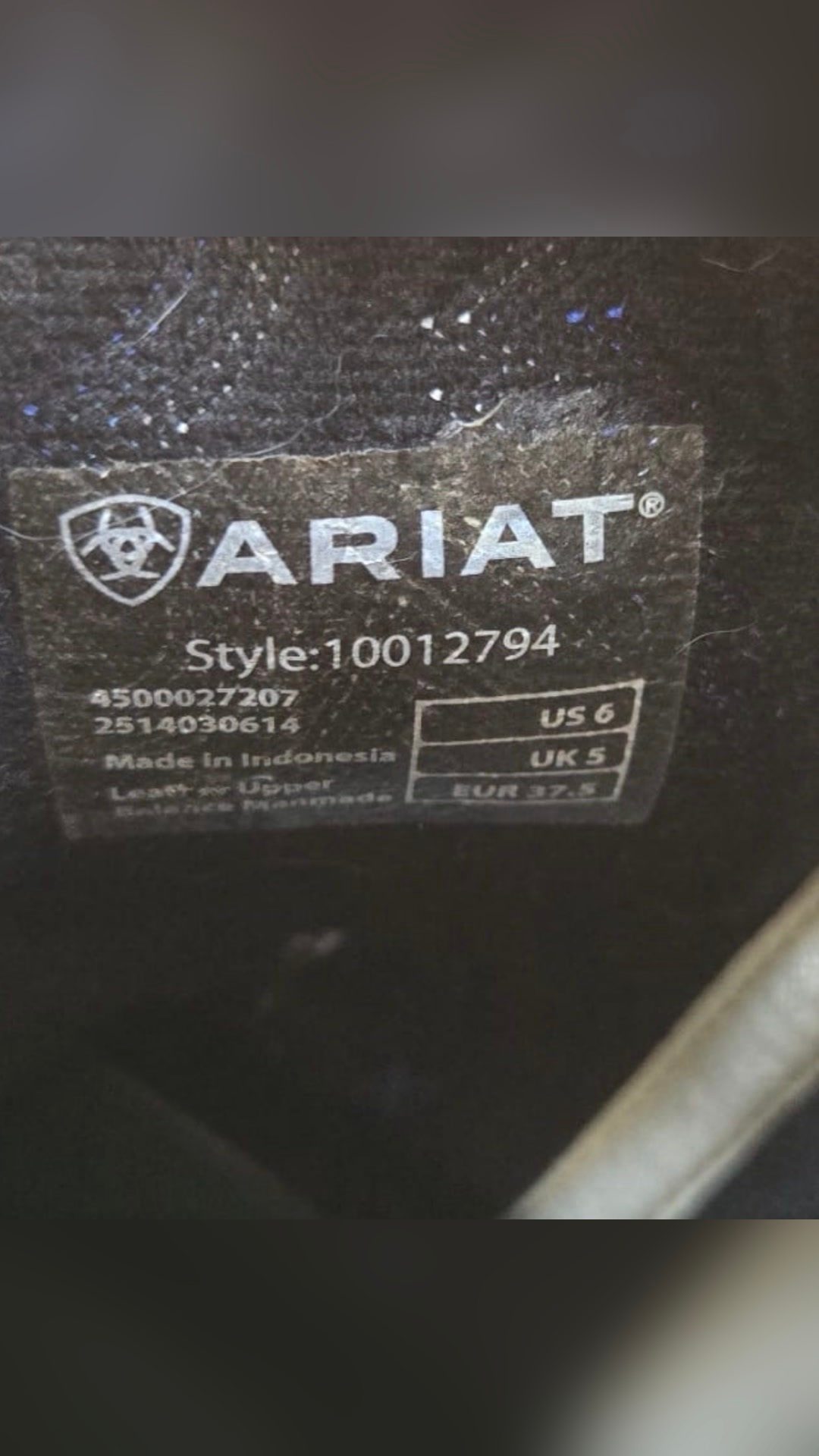 Bottes Ariat, média 2