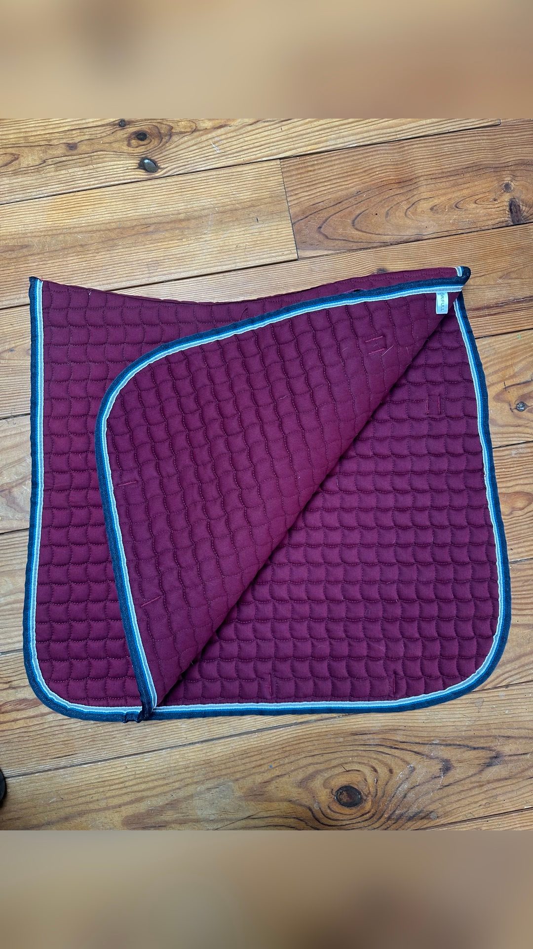Tapis dressage, média 5